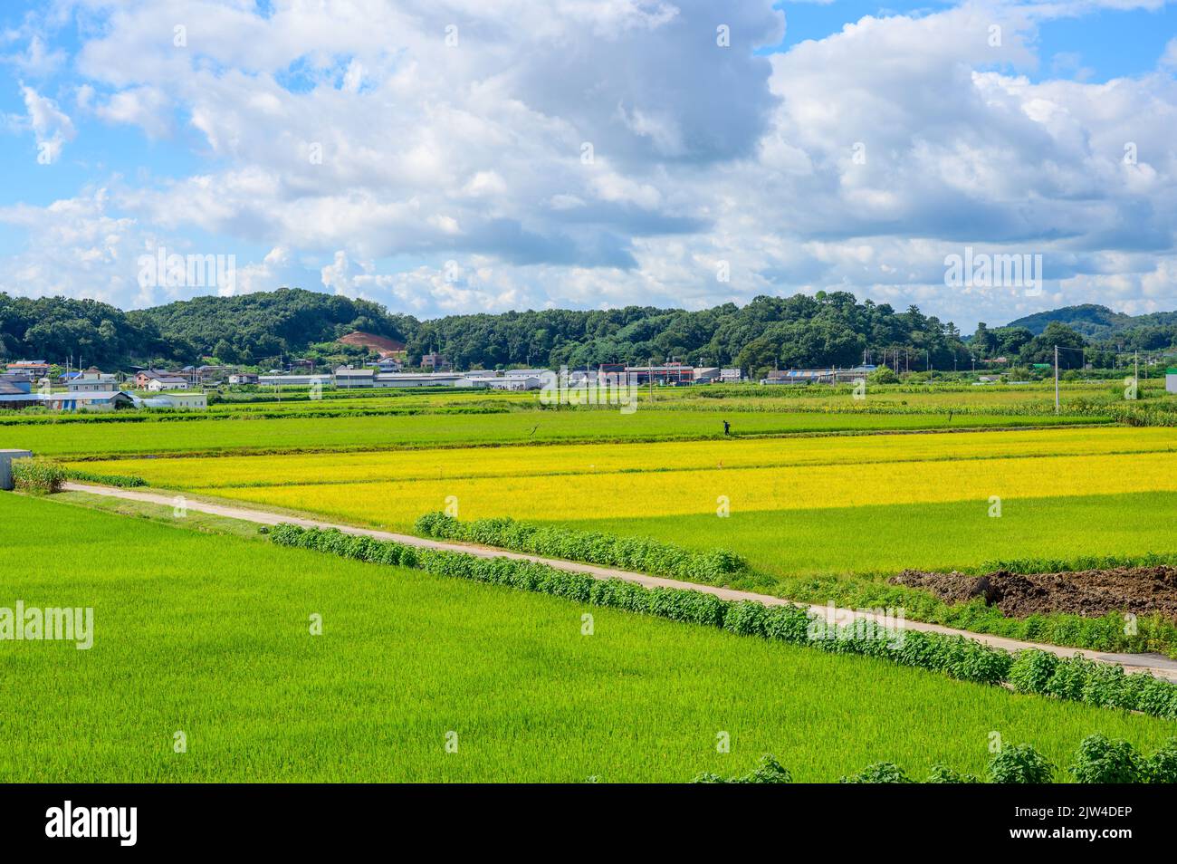 Jangseong-gun, Jeollanam-do, Repubblica di Corea - 4 maggio 2022: Un paesaggio di un tempio tradizionale coreano. Tempio tradizionale Baekyangsa. Budd coreano Foto Stock