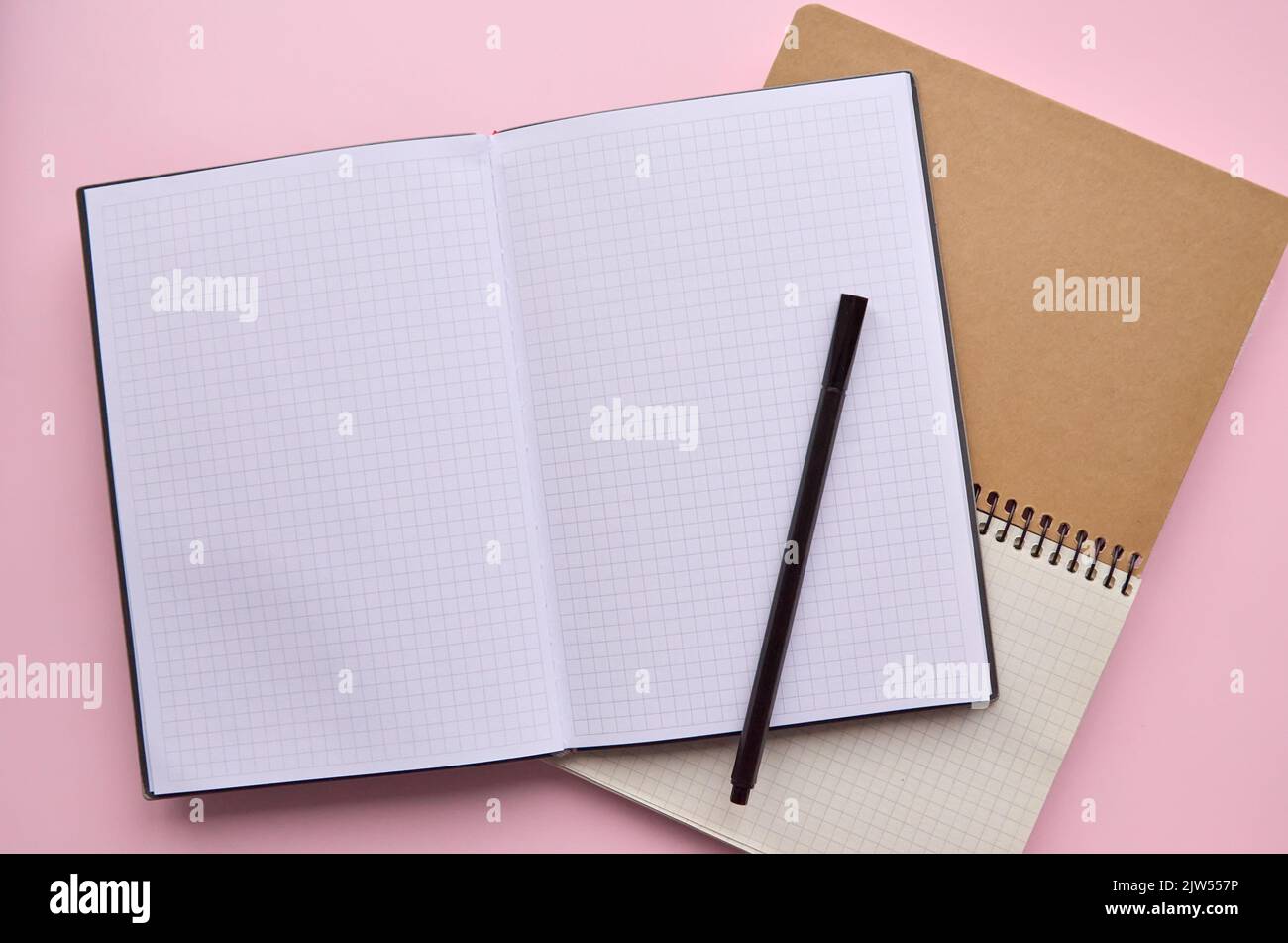 Quaderno aperto e penna isolato su sfondo rosa pastello, piatto alla moda. Foto Stock