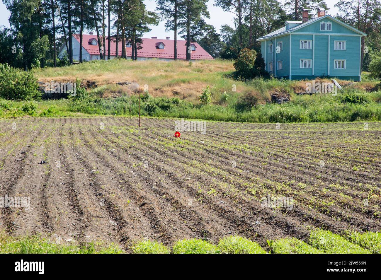 Letti da giardino sul territorio di una fattoria agricola. Foto Stock