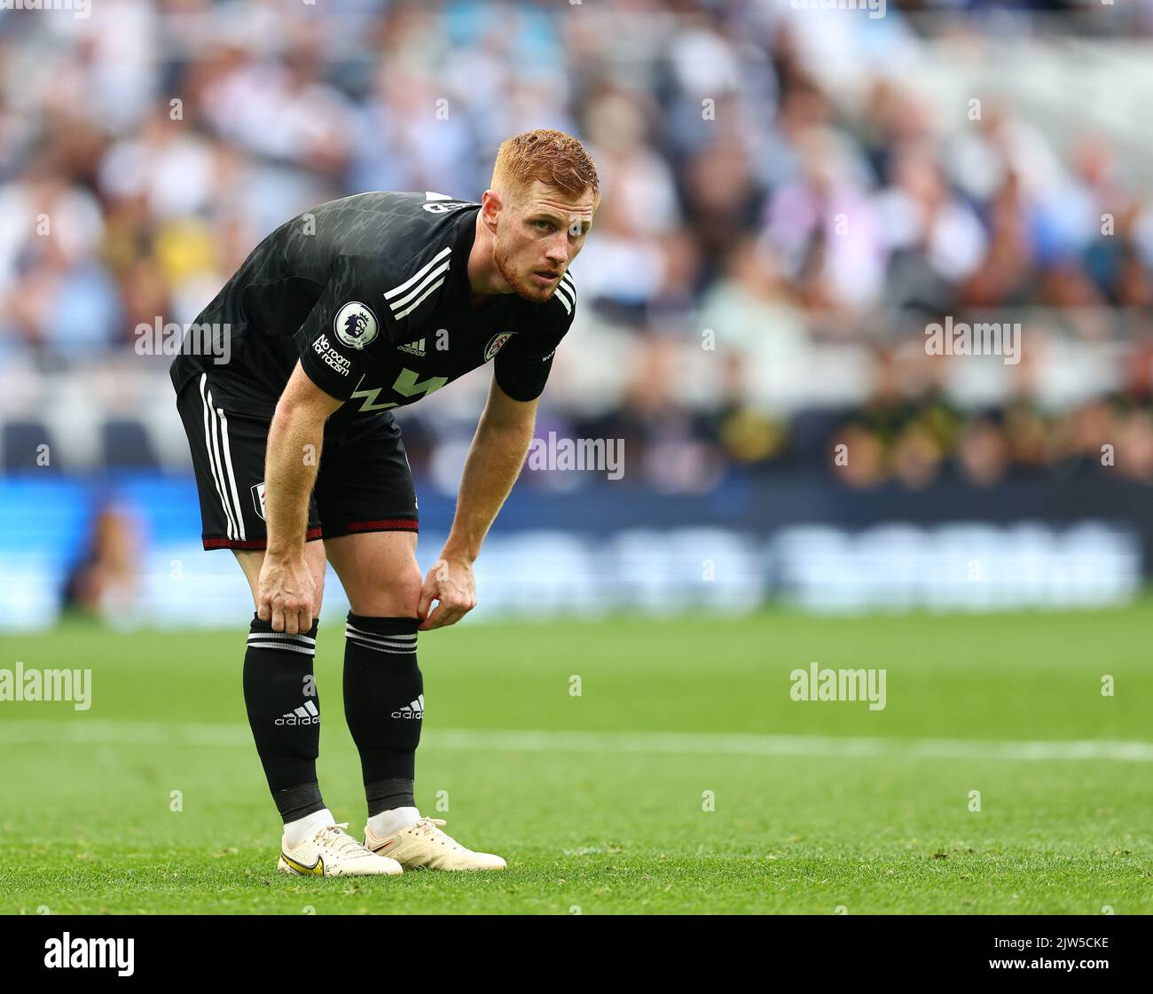 Londra, Inghilterra, 3rd settembre 2022. Harrison Reed of Fulham durante la partita della Premier League al Tottenham Hotspur Stadium, Londra. Il credito di foto dovrebbe essere: David Klein / Sportimage Foto Stock