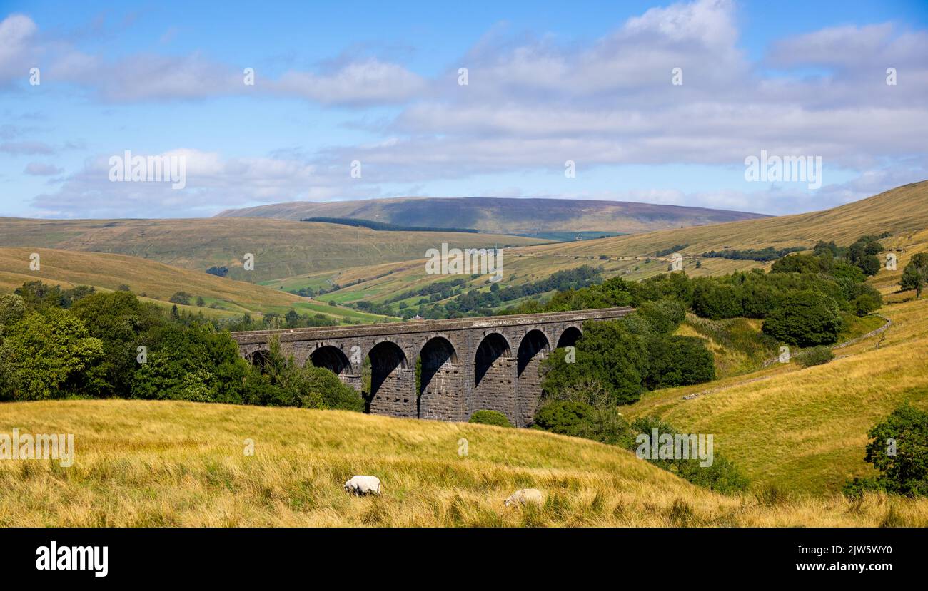 Natura meravigliosa del Parco Nazionale di Yorkshire Dales Foto Stock