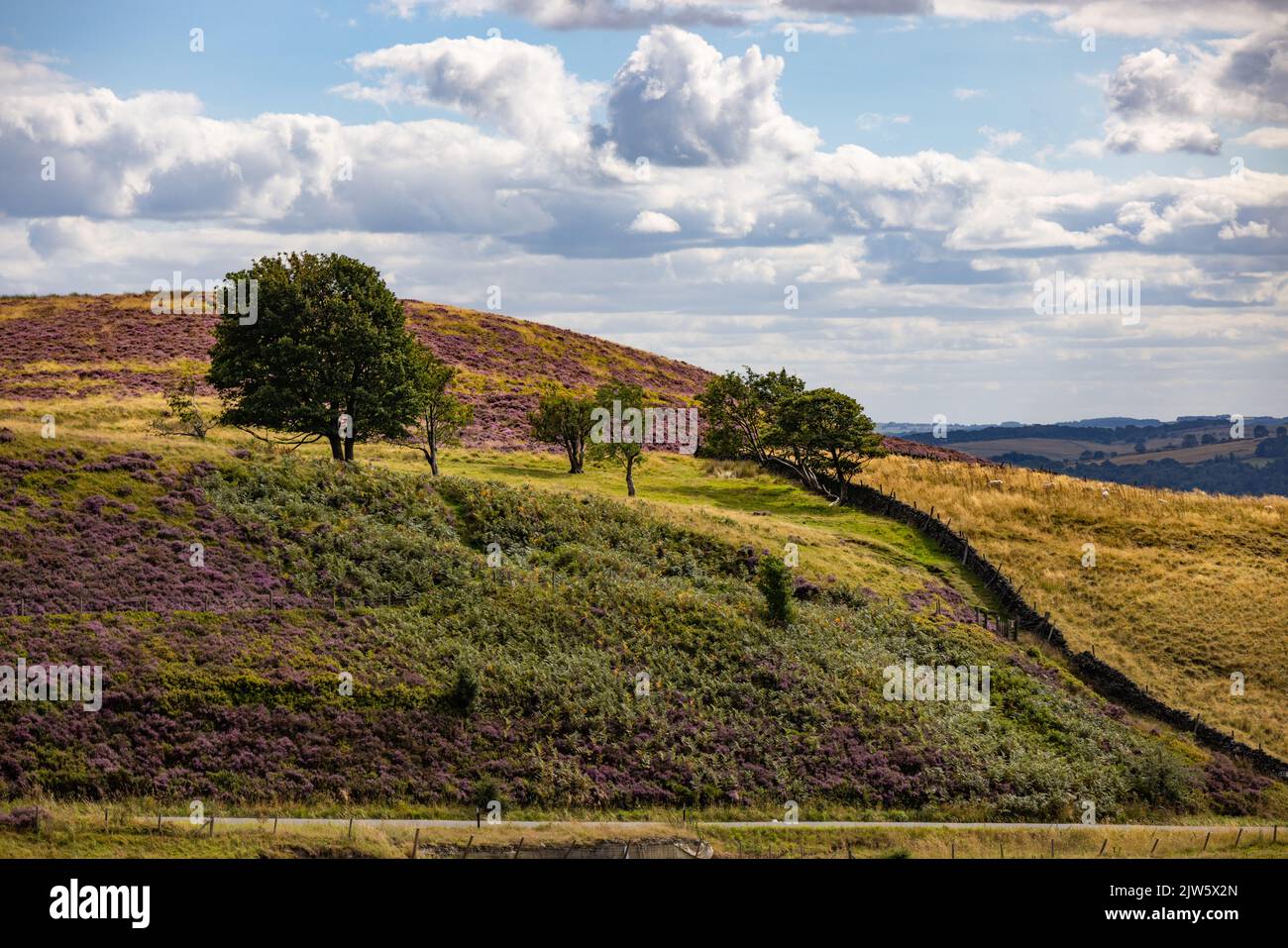 Incredibile paesaggio e natura del Parco Nazionale del quartiere di Peak Foto Stock