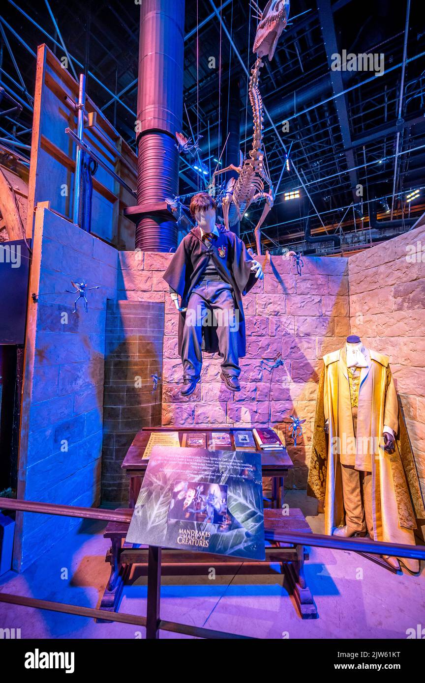 Leavesden, Regno Unito - 23 agosto 2022: Mostre all'interno del tour Making of Harry Potter presso lo studio Warner Bros. Foto Stock