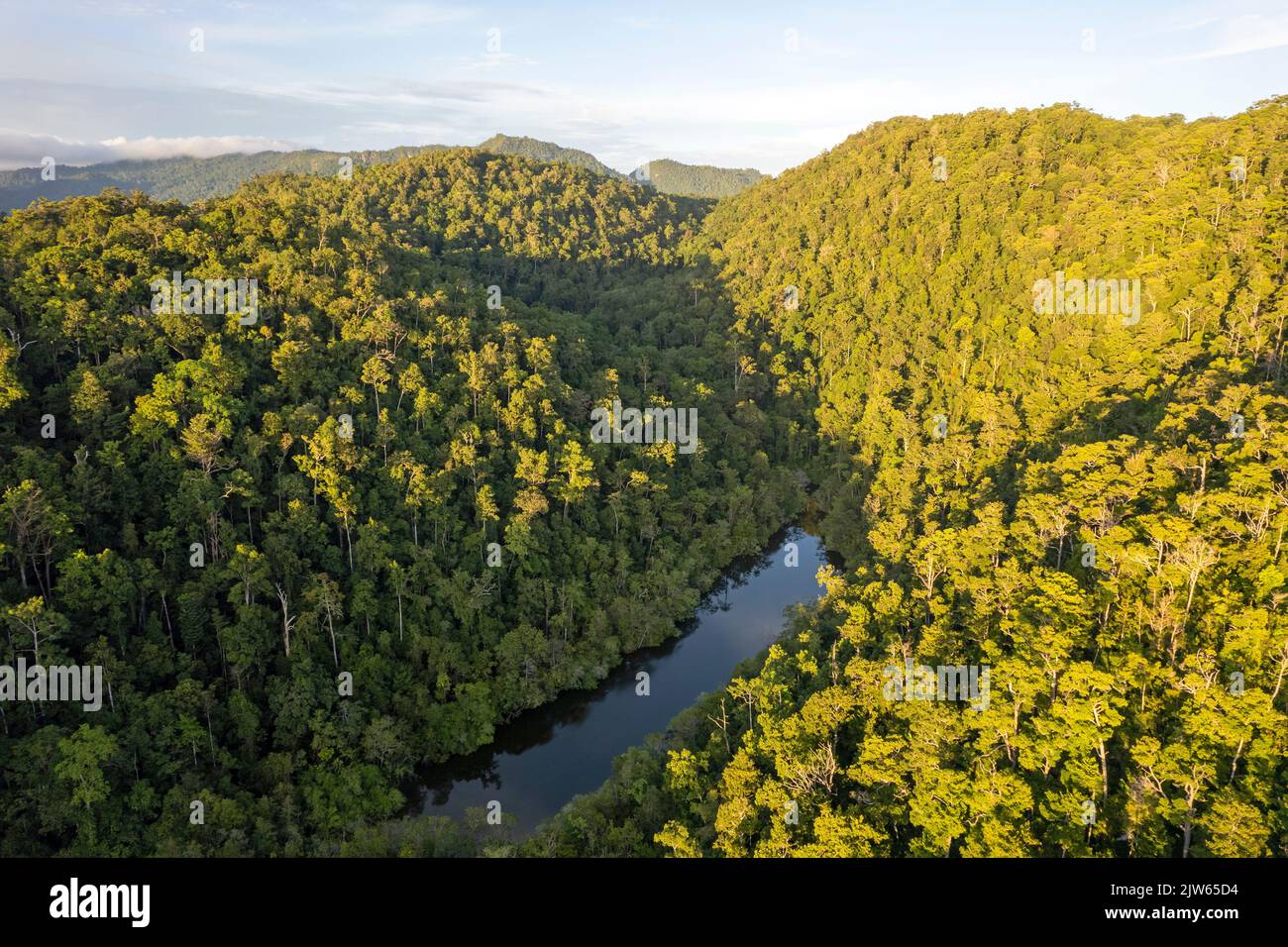 Vista aerea della lussureggiante foresta pluviale dell'Isola di Batanta, Raja Ampat Indonesia. Foto Stock