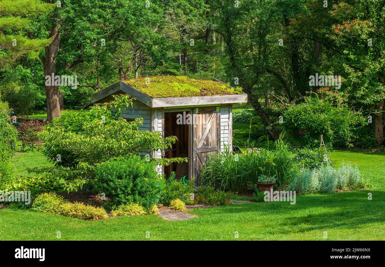 Capannone da giardino con tetto in sedum, in un cottage-giardino progettato da Martha Stewart. Berkshire Botanical Garden, Stockbridge, Massachusetts, USA Foto Stock