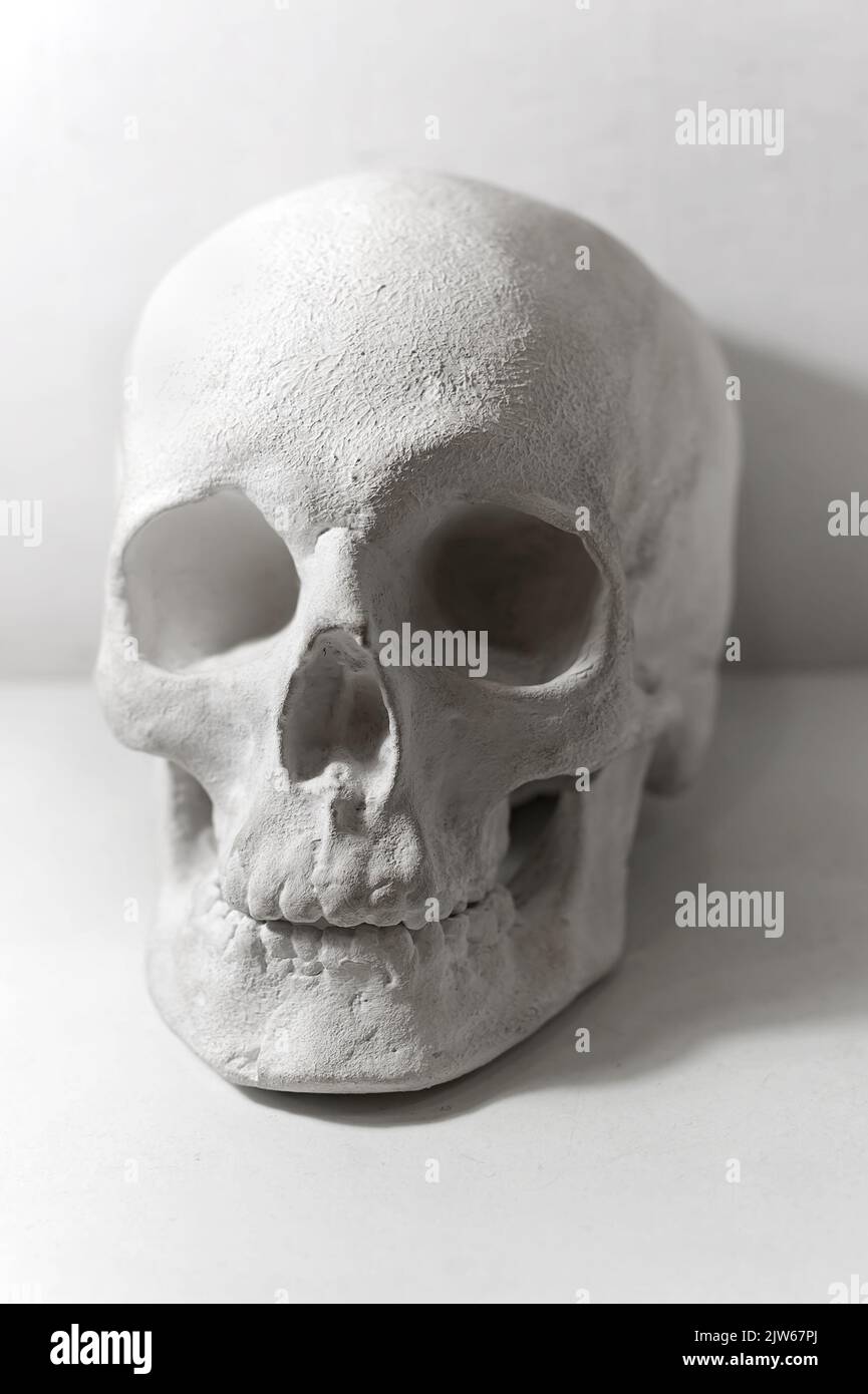 Stucco in gesso per imparare il disegno del viso su lezioni di belle arti in studio Foto Stock