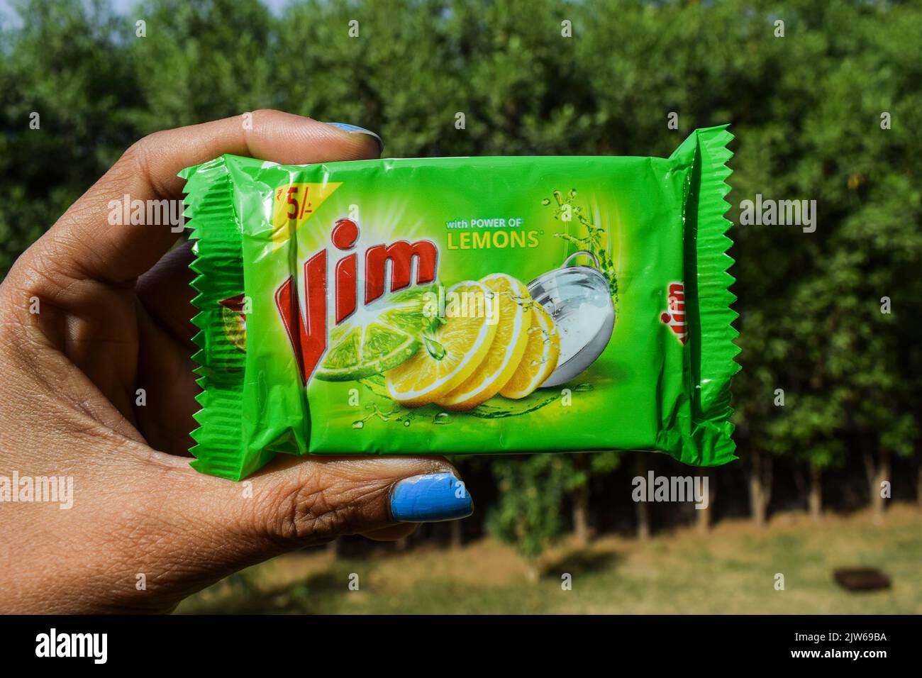 Utensil femmina Dishwash sapone Vim bar limone. Lemon Vim saponetta saponetta di lavaggio della capsula di rs. solo 5. Piccolo pacchetto di Vim bar vista frontale natura b Foto Stock