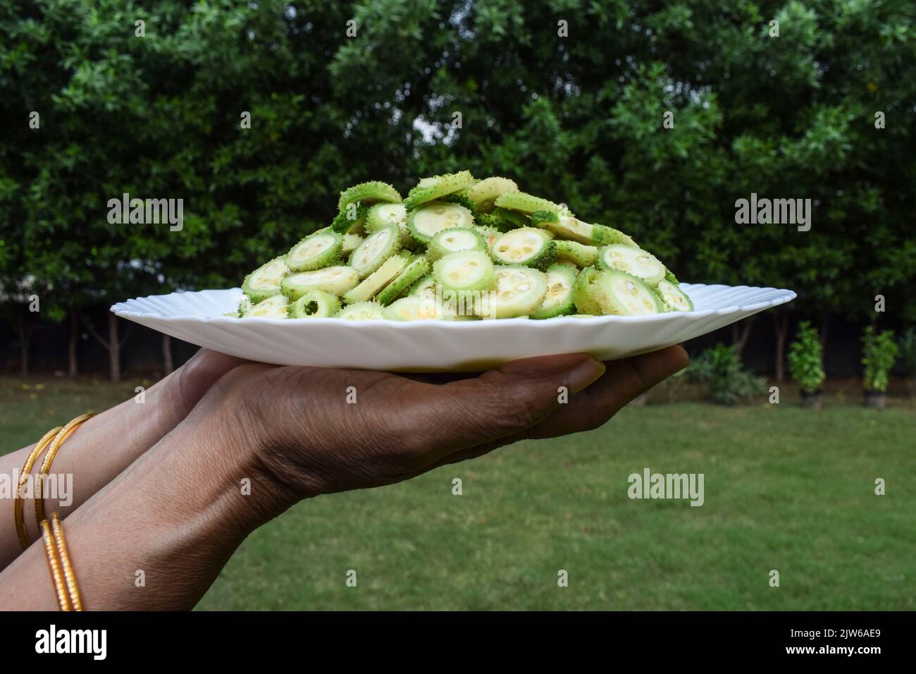 Piastra di tenuta femminile di Spiny gourd vegetale anche noto come Spine gourds o Kantola sono verdure stagionali sane coltivate in India Asia, Cut in a sli Foto Stock