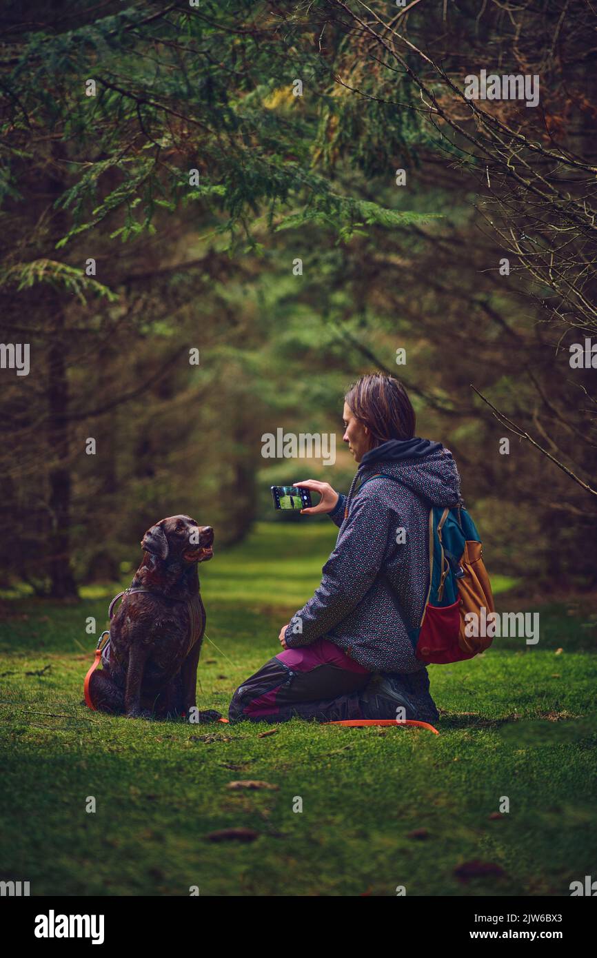 Persona che prende immagine di cane nel bosco. Foto di alta qualità Foto Stock