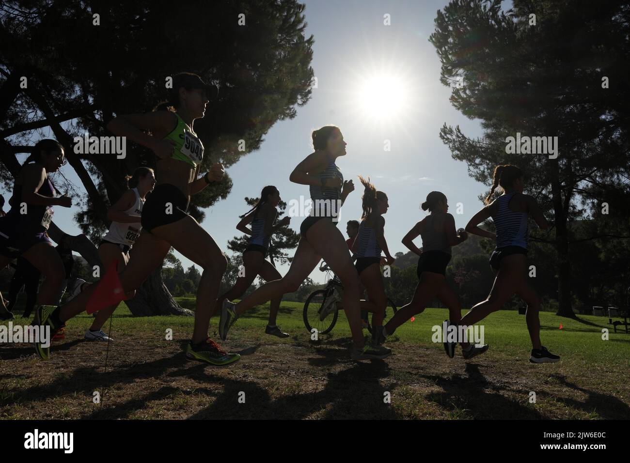 Le runner si stagliano contro il sole nella gara femminile durante il Mark Covert Cross Country Invitational, sabato 3 settembre 2022, a Brea, calib. Foto Stock