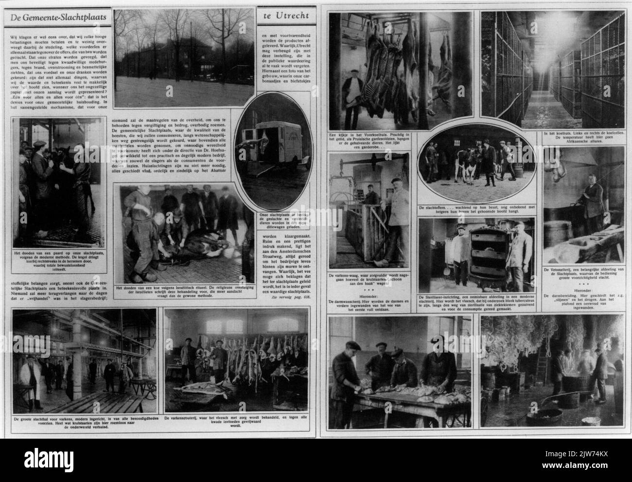 Collage di un volto e degli interni del macello pubblico (Amsterdam-Damsestraatweg 283) di Utrecht. Foto Stock