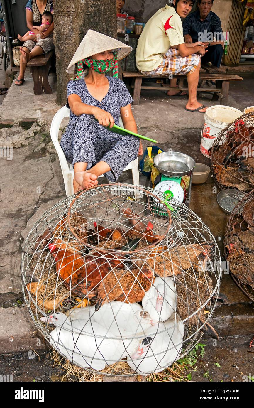 Mercato di strada vietnamita e commerciante che indossa cappello di bambù, Hai Phong, Vietnam Foto Stock