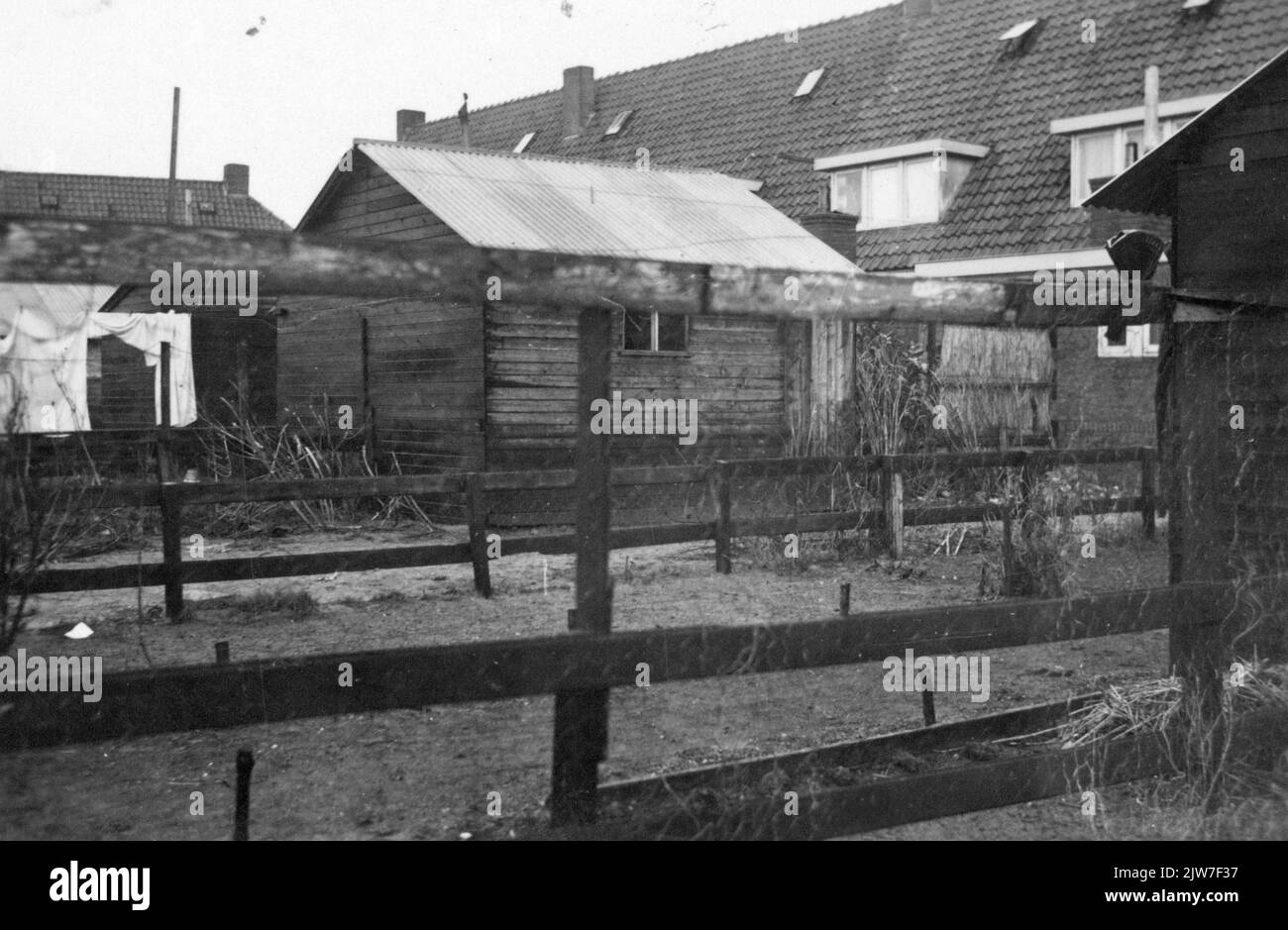 Vista nei giardini posteriori delle case su Primulastraat in Amersfoort. Foto Stock