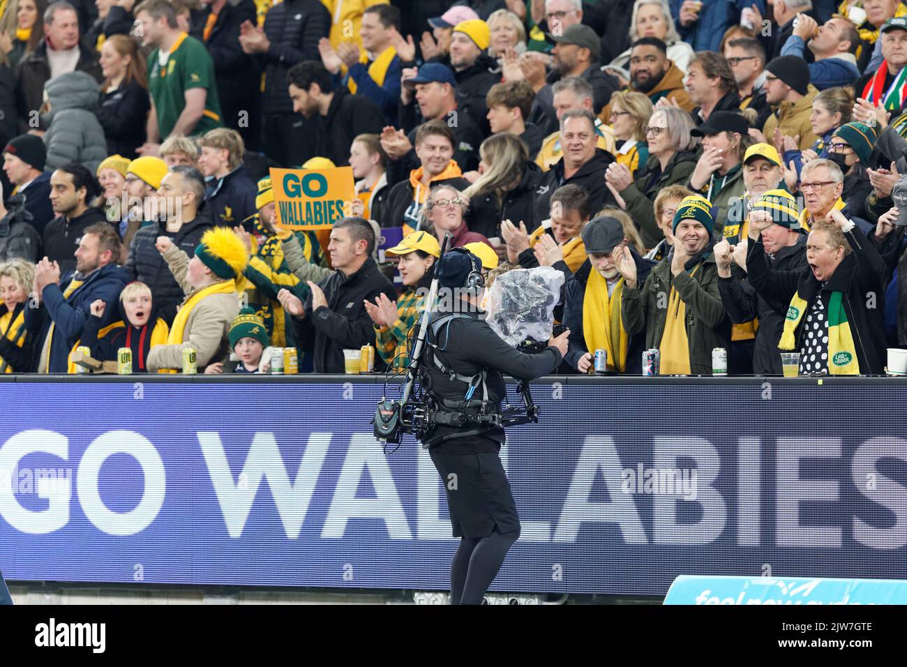 SYDNEY, AUSTRALIA - Settembre 3: I fan dei wallaby festeggiano durante la partita del Campionato di Rugby tra l'Australia Wallaby e il Sudafrica Springb Foto Stock