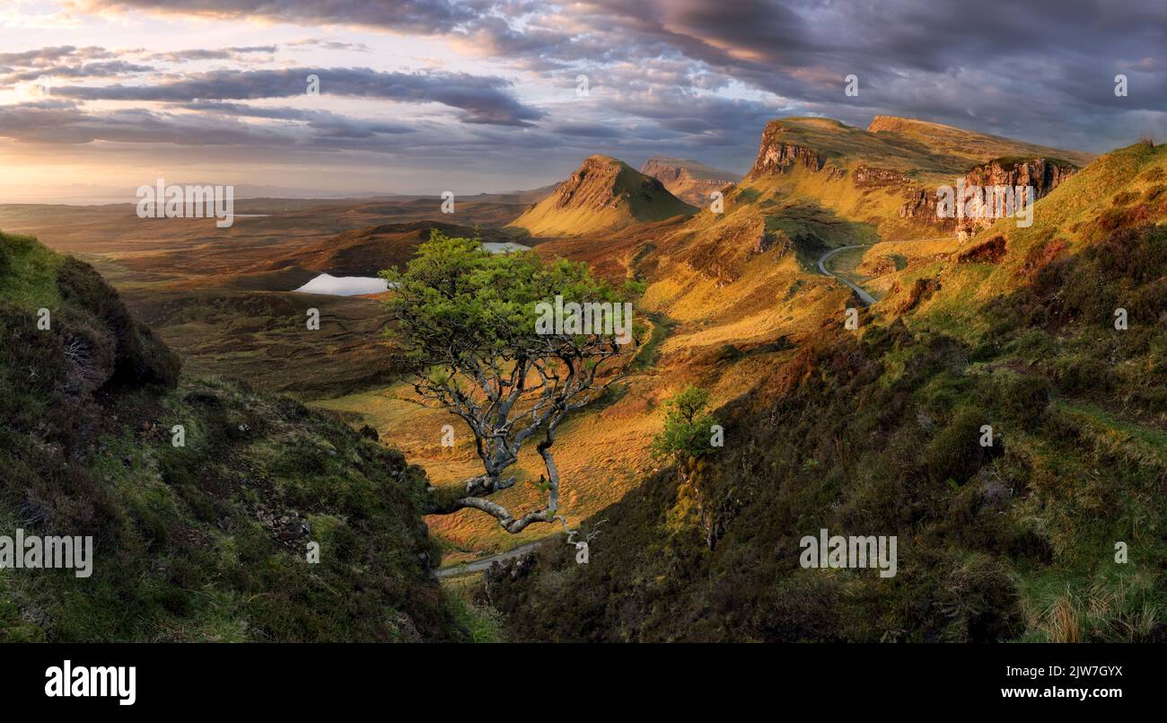Panorama montano con albero leggendario in Scozia, Quiraing all'alba drammatica Foto Stock