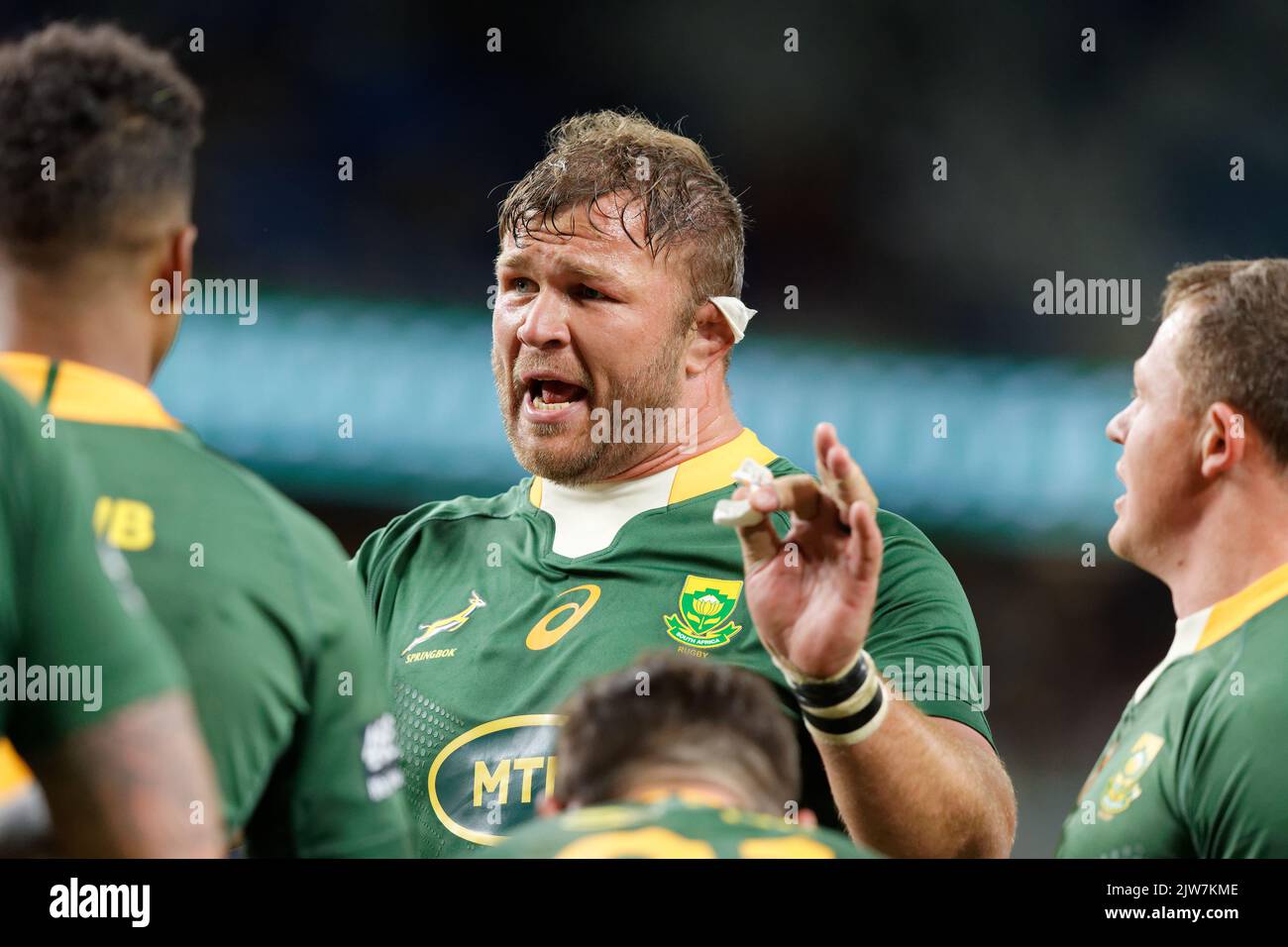 Springbok rugby team south africa immagini e fotografie stock ad alta  risoluzione - Alamy