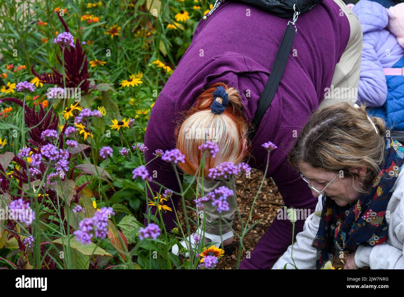 Birmingham, Regno Unito, 2nd settembre 2022, all’apertura di PoliNations, un giardino nella Victoria Square di Birmingham che ospita un festival di 17 giorni di eventi gratuiti per esplorare come la migrazione e l’impollinazione incrociata hanno plasmato il Regno Unito. Il giardino, prodotto da Trigger, è composto da cinque installazioni di alberi alti 40ft e più di 6.000 piante, tra cui marigolds coltivati da gruppi di comunità locali., Andrew Lalchan Photography/Alamy Live News Foto Stock