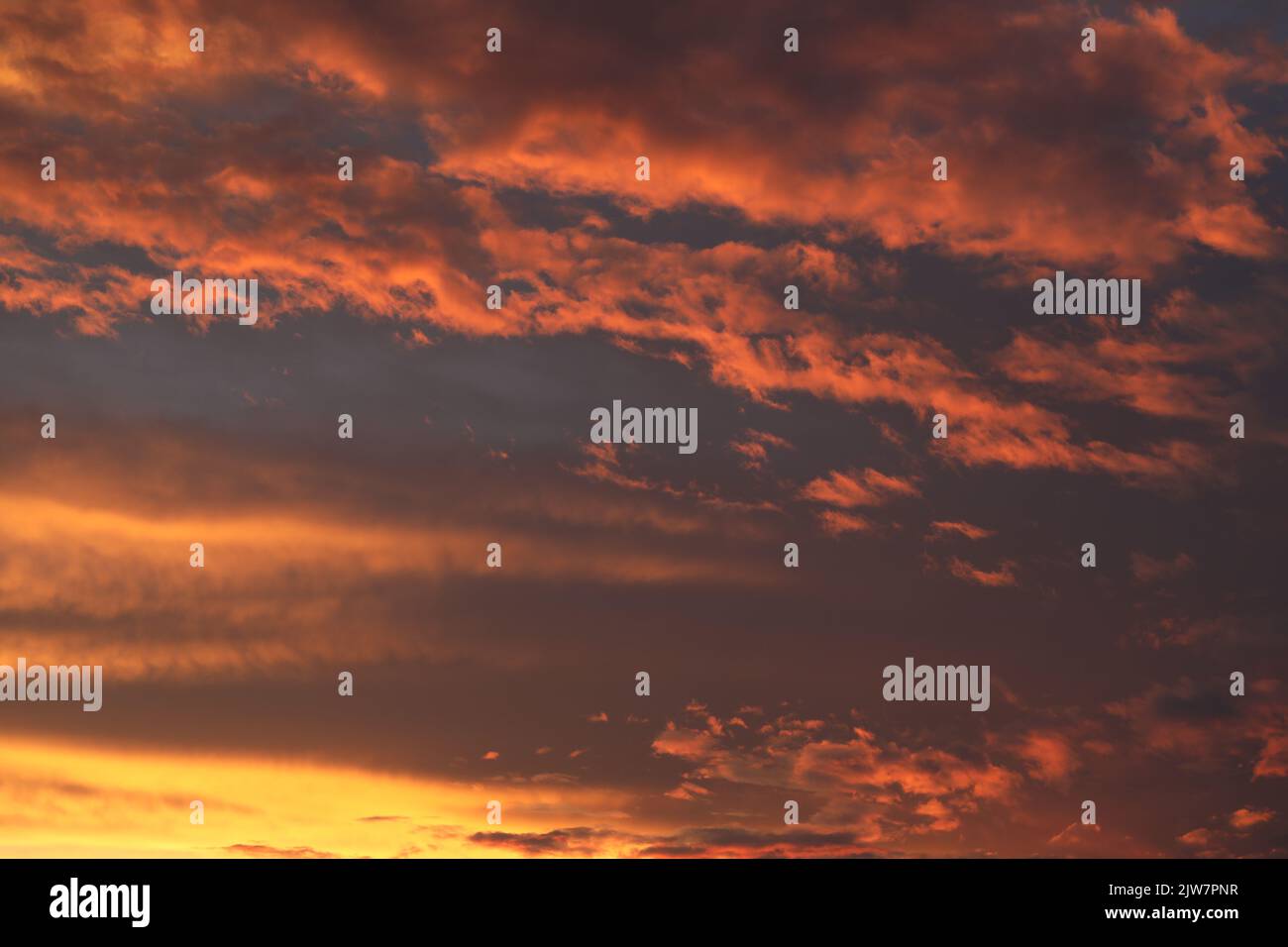 cielo che brucia come sfondo. tramonto con nuvole. skyline Foto Stock