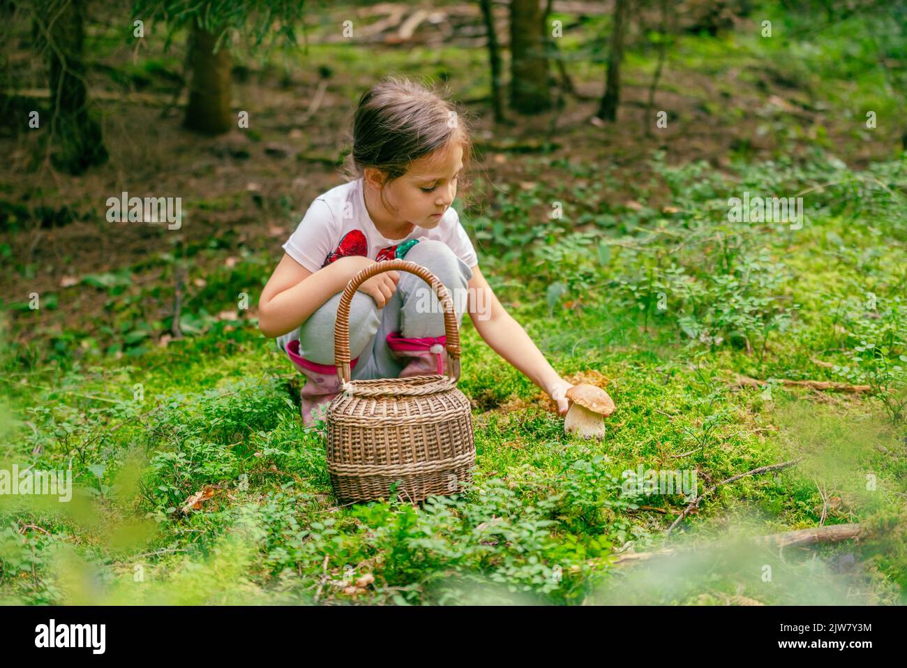 La bambina scopa un fungo di boleto da terra. Cestino tessuto accanto. Foresta dietro Foto Stock