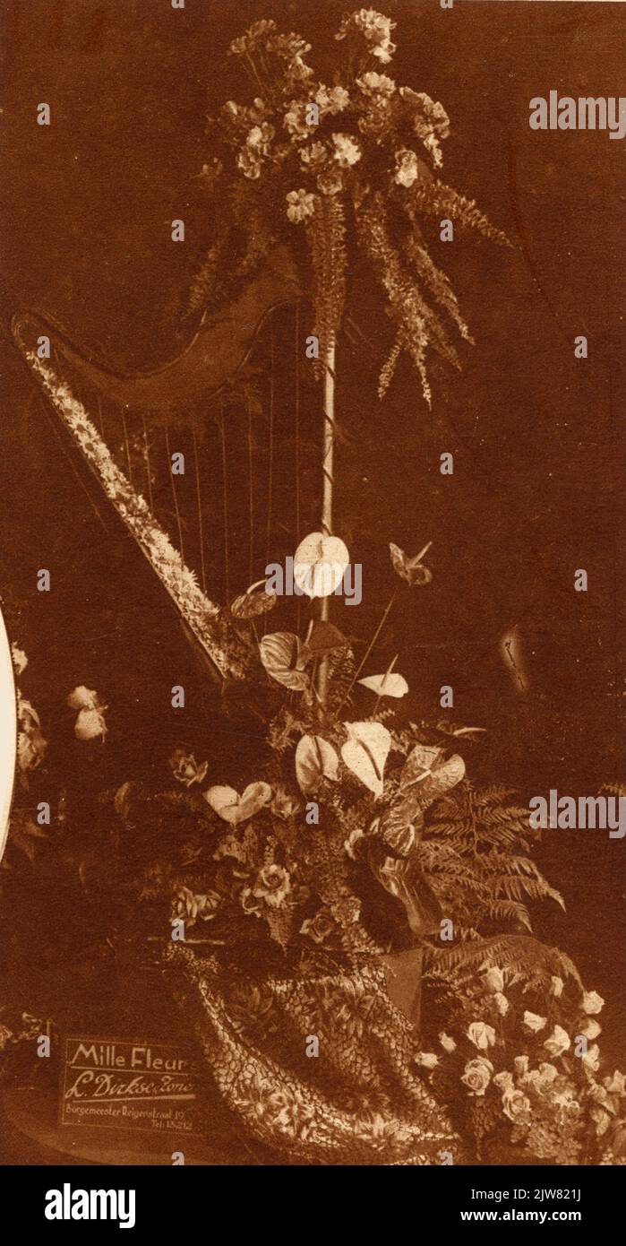 Un paradiso dei fiori nella fondazione Foto Stock