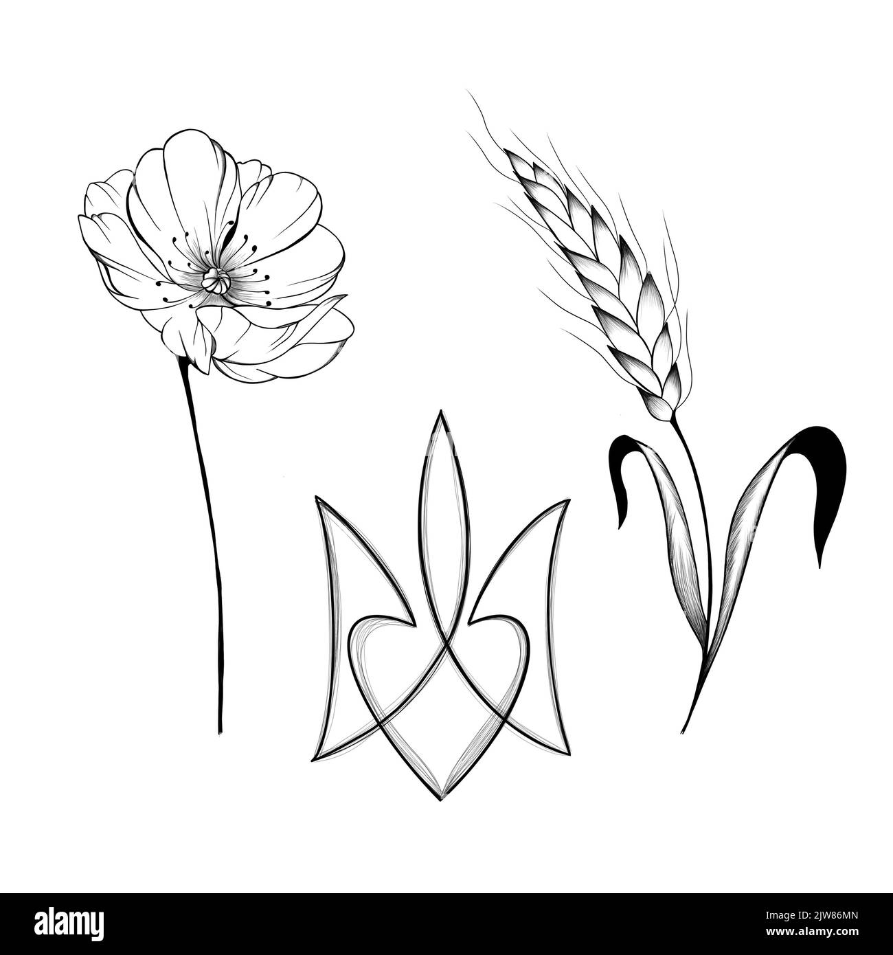 set di schizzi nazionali patriottici ucraini. Stemma ucraino, fiori selvatici e un orecchio di grano, colomba di pace Foto Stock