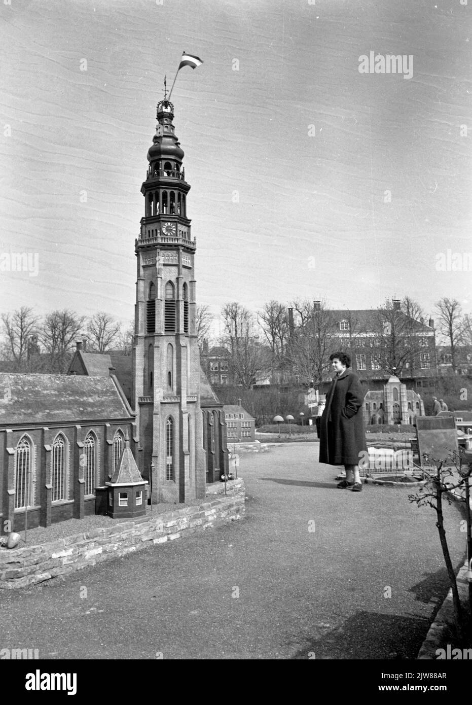 Vista di un campo di fiori bulbo con narcisi in fiore nelle vicinanze di Vogelenzang. Foto Stock