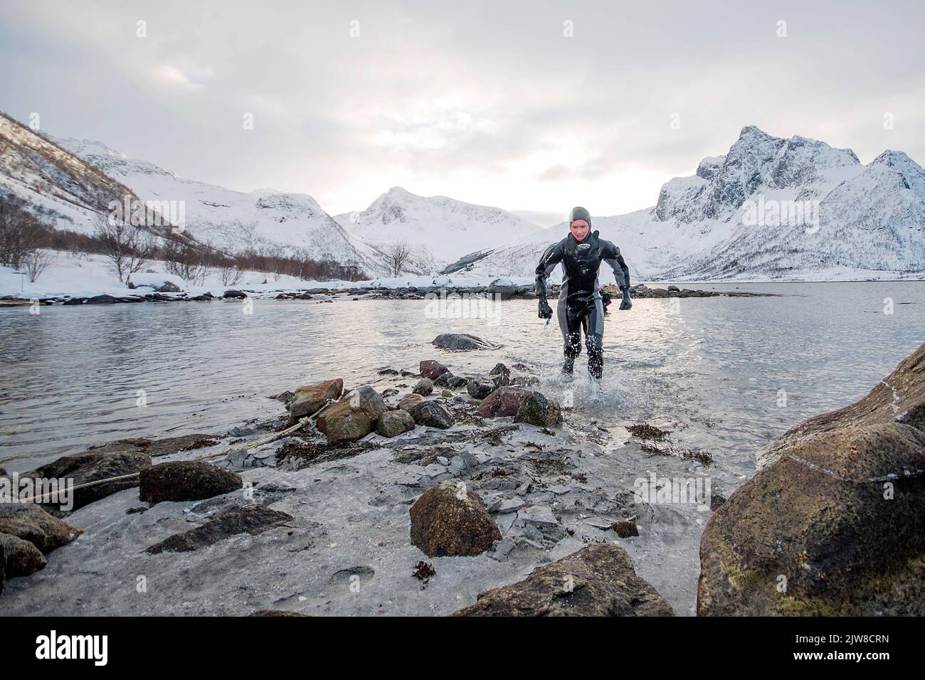Nuoto in acqua fredda, Lofoten Norvegia. Foto Stock