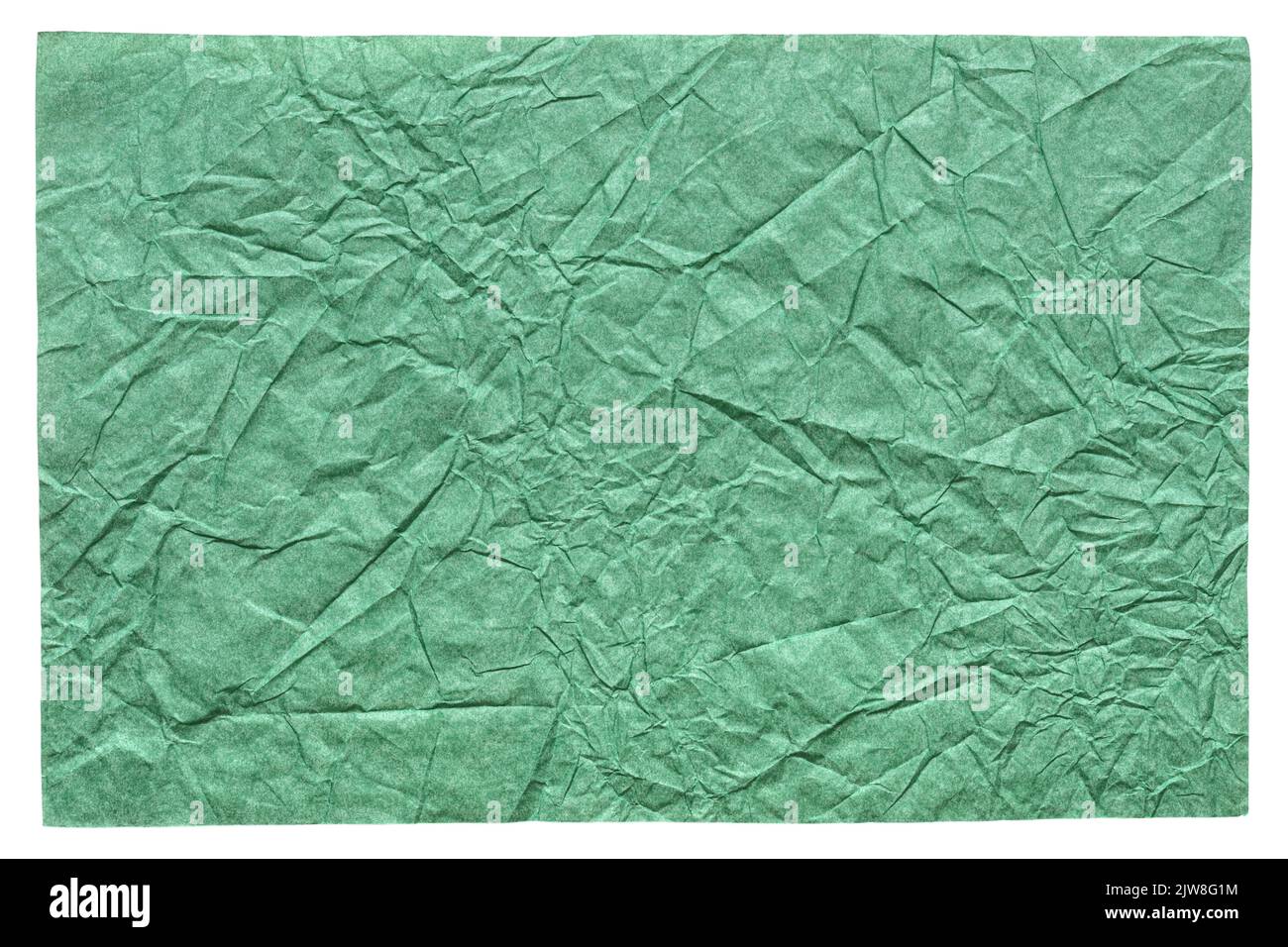 Foglio di carta isolato e stropicciato in elegante colore verde. Foto Stock