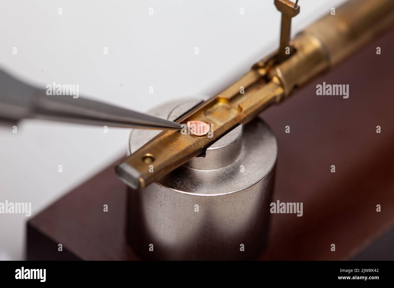 Il portacampioni per microscopio elettronico a trasmissione è stato caricato con un campione su una griglia Foto Stock