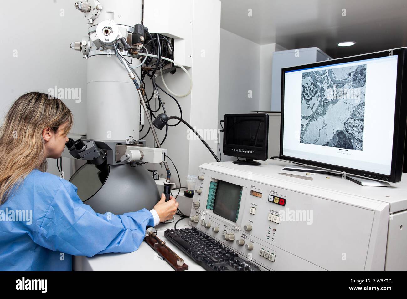 Giovane scienziata femminile che lavora in laboratorio con un microscopio elettronico Foto Stock Giovane scienziata femminile che lavora in laboratorio con un microscopio elettronico Foto Stock