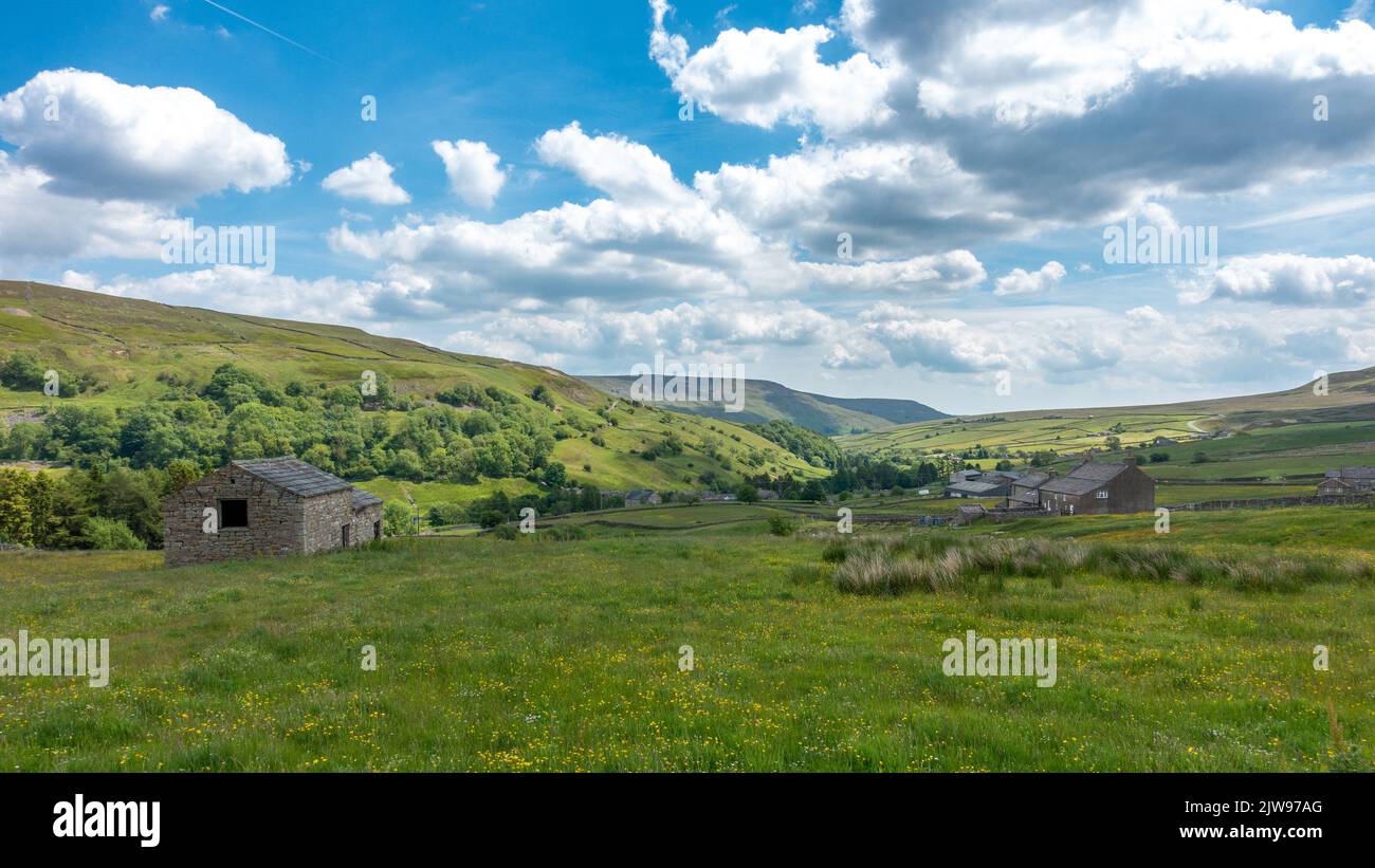 Vista da Bouldershaw Lane di Arkengarthdale sul retro di Tan Hill guardando verso Reeth, Swaledale, Yorkshire Dales National Park, Regno Unito Foto Stock