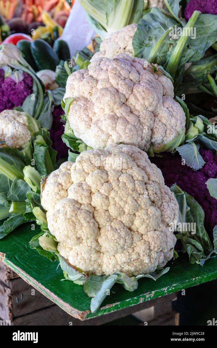 Cavolfiore (Brassica oleracea), mercato agricolo, e USA, di James D Coppinger/Dembinsky Photo Assoc Foto Stock