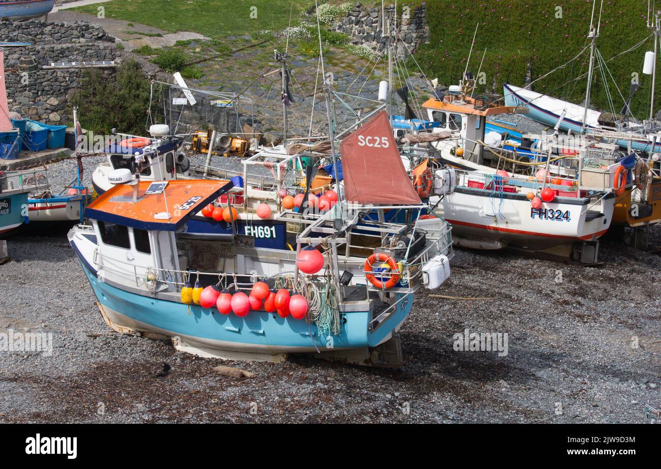 Le barche da pesca della Cornovaglia si sono alzate sulla spiaggia di ciottoli del villaggio di pescatori di Caggwith sulla penisola di Lizard, Cornovaglia, Regno Unito. Foto Stock