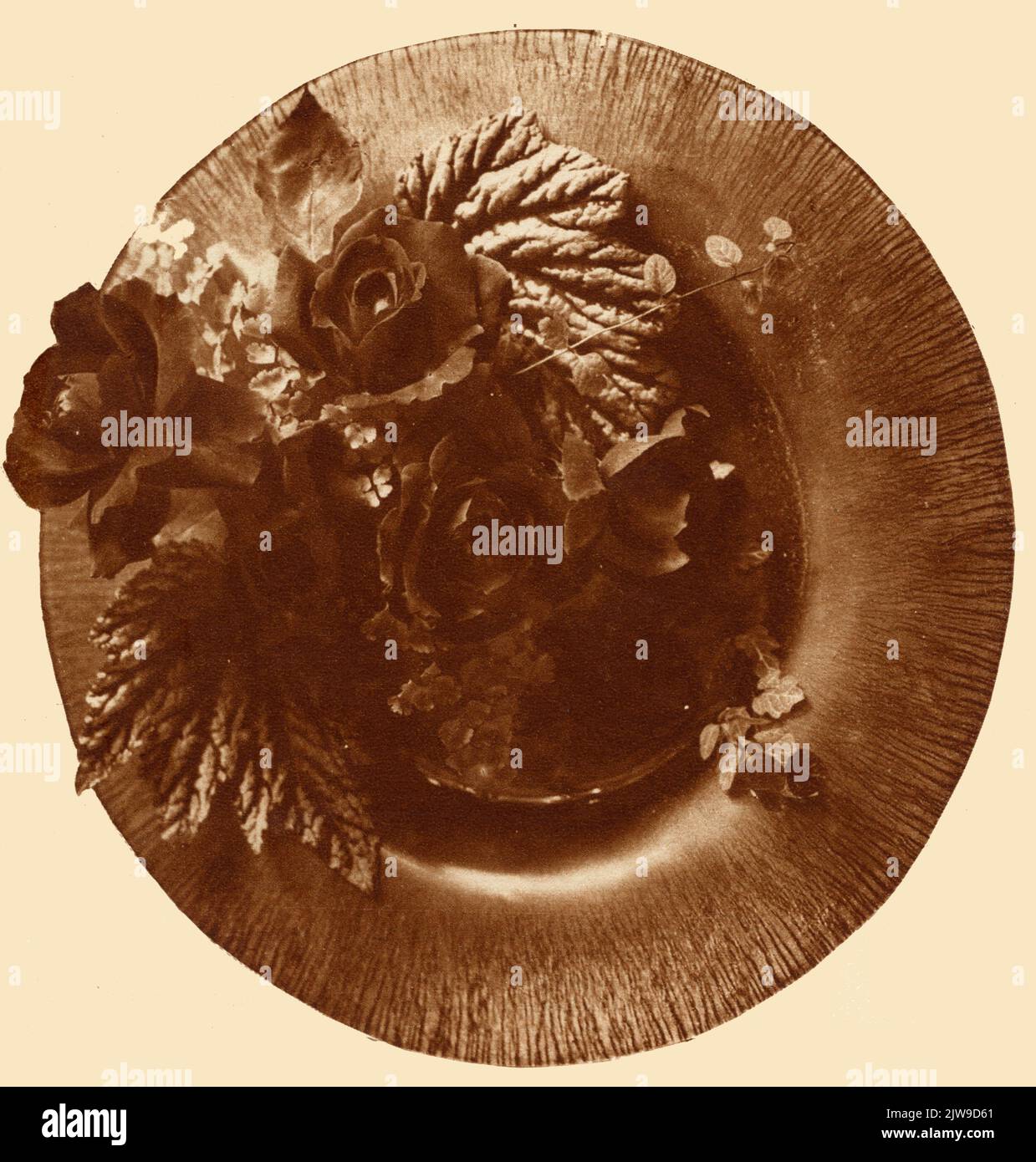 Un paradiso dei fiori nella fondazione Foto Stock