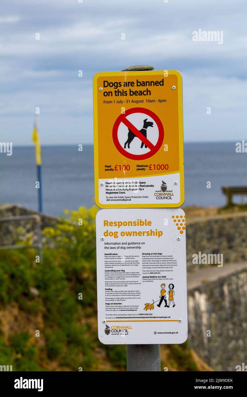 Un cartello sul Todden a Cadgwith Cove, Lizard Peninsula, Cornovaglia. Avviso di multe comminate se i cani vengono portati in spiaggia tra le date e le ore. Foto Stock