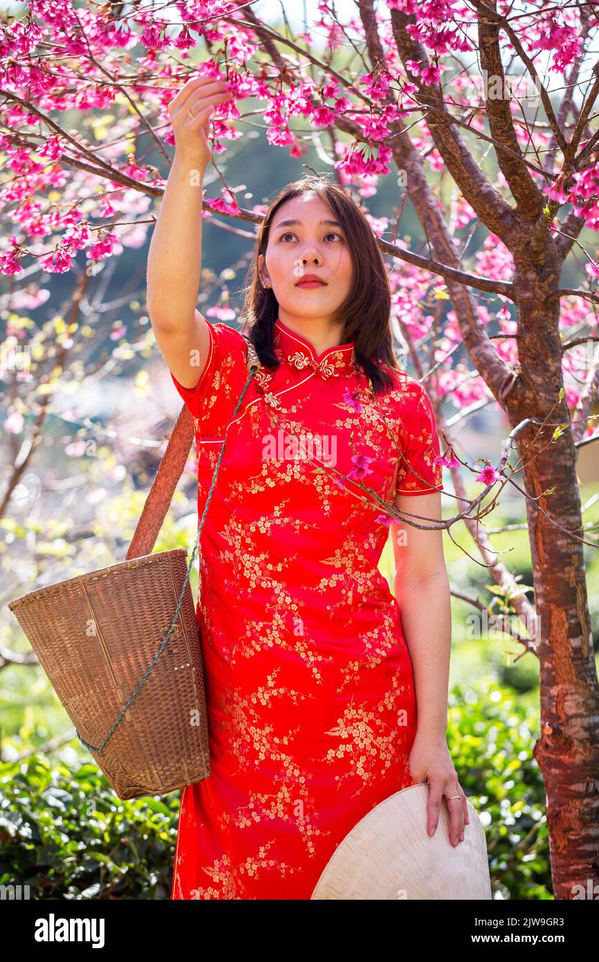 asian lady ritratto rilassarsi in stile cinese a lungo vestito o vietnam accessori contemporanei felice sul luogo mattina Foto Stock