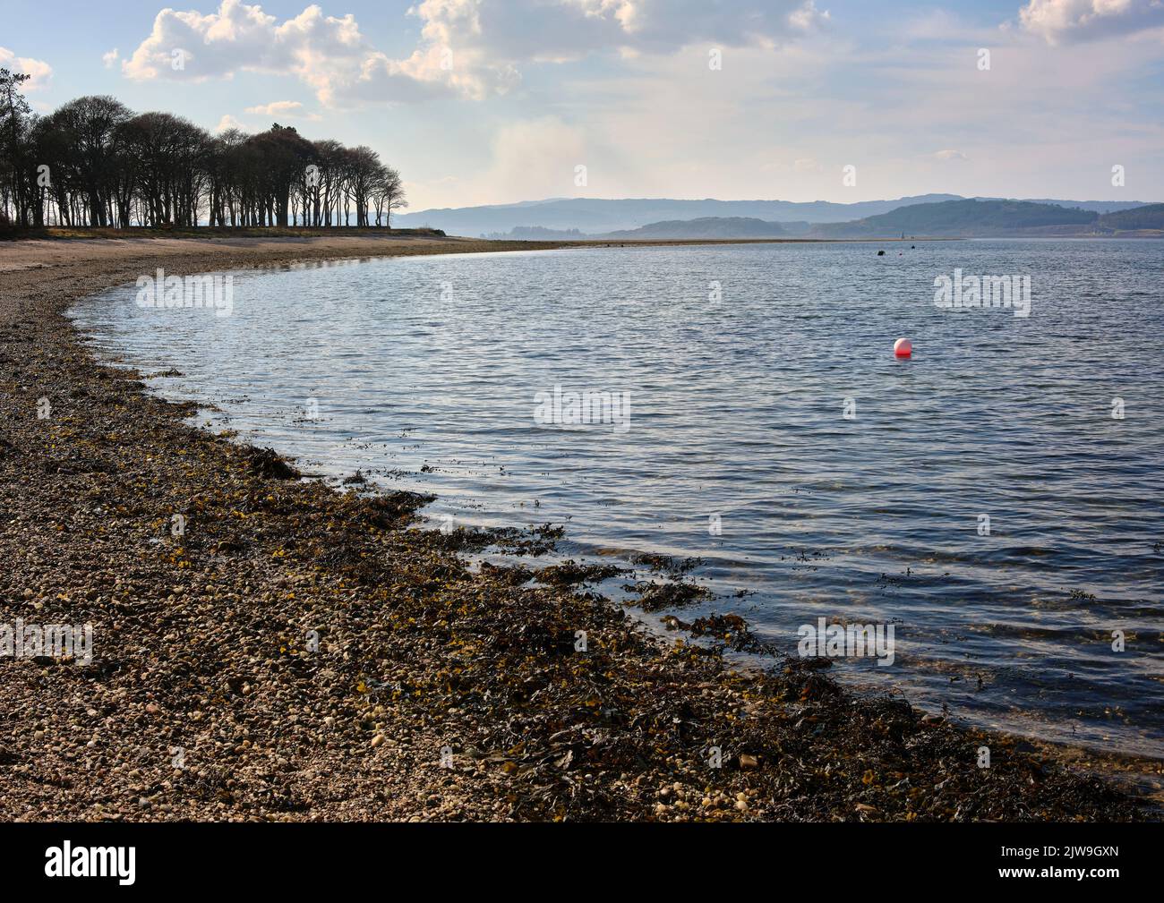 Le alghe costeggiate la riva del Loch Fyne con una vista a sud da Otter Ferry. Argyll e Bute Foto Stock