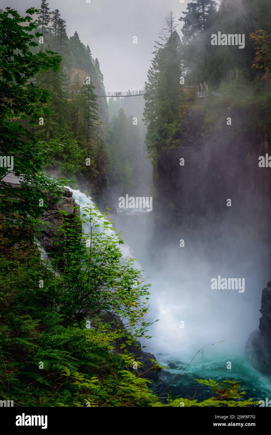 Elk Falls è una cascata di 25 metri sul fiume Campbell. Sopra la valle del fiume si trova un ponte sospeso che permette di ammirare la splendida vista del Foto Stock