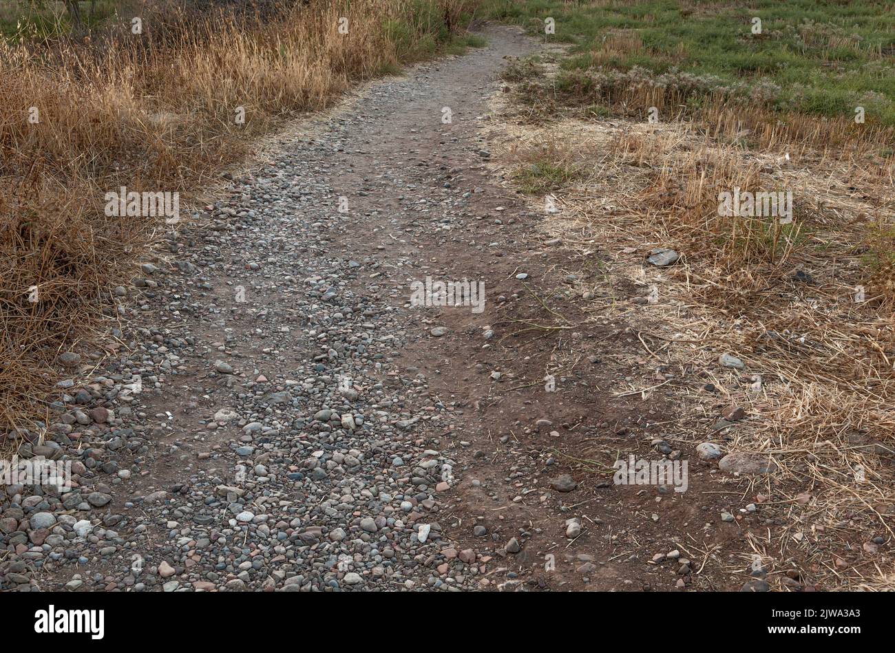 Sentiero roccioso. Suolo asciutto con pietre piccole. Percorso di cespugli selvatici. Foto Stock