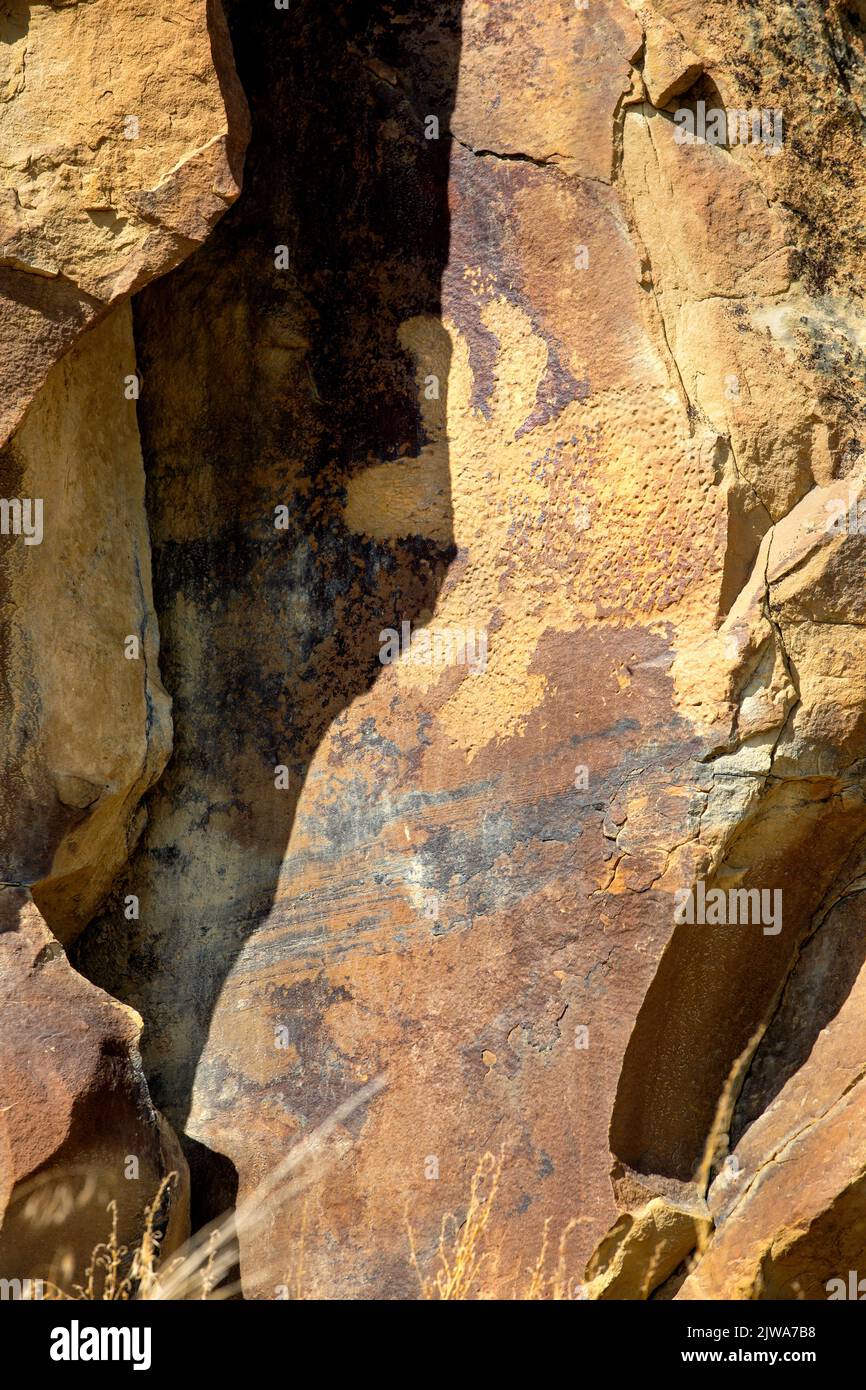 Arte rupestre dei petroglifi in Legend Rock state Archaeological Site, Wyoming - Un pannello zoomorfico in pietra arenaria scolpita di una creatura simile a un orso con grandi orecchie cre Foto Stock