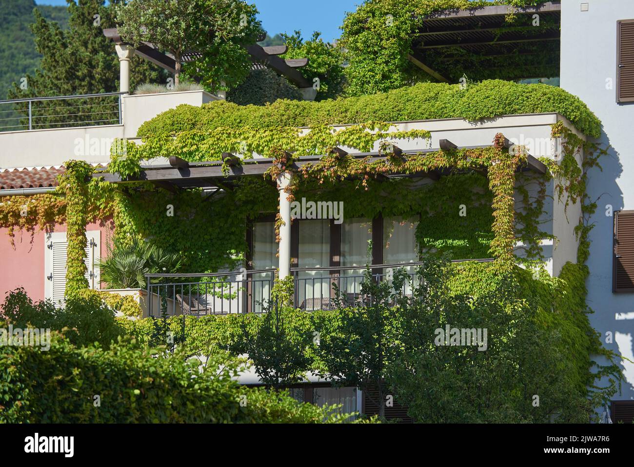 Ivy coprire il balcone di un edificio residenziale in europa Foto Stock