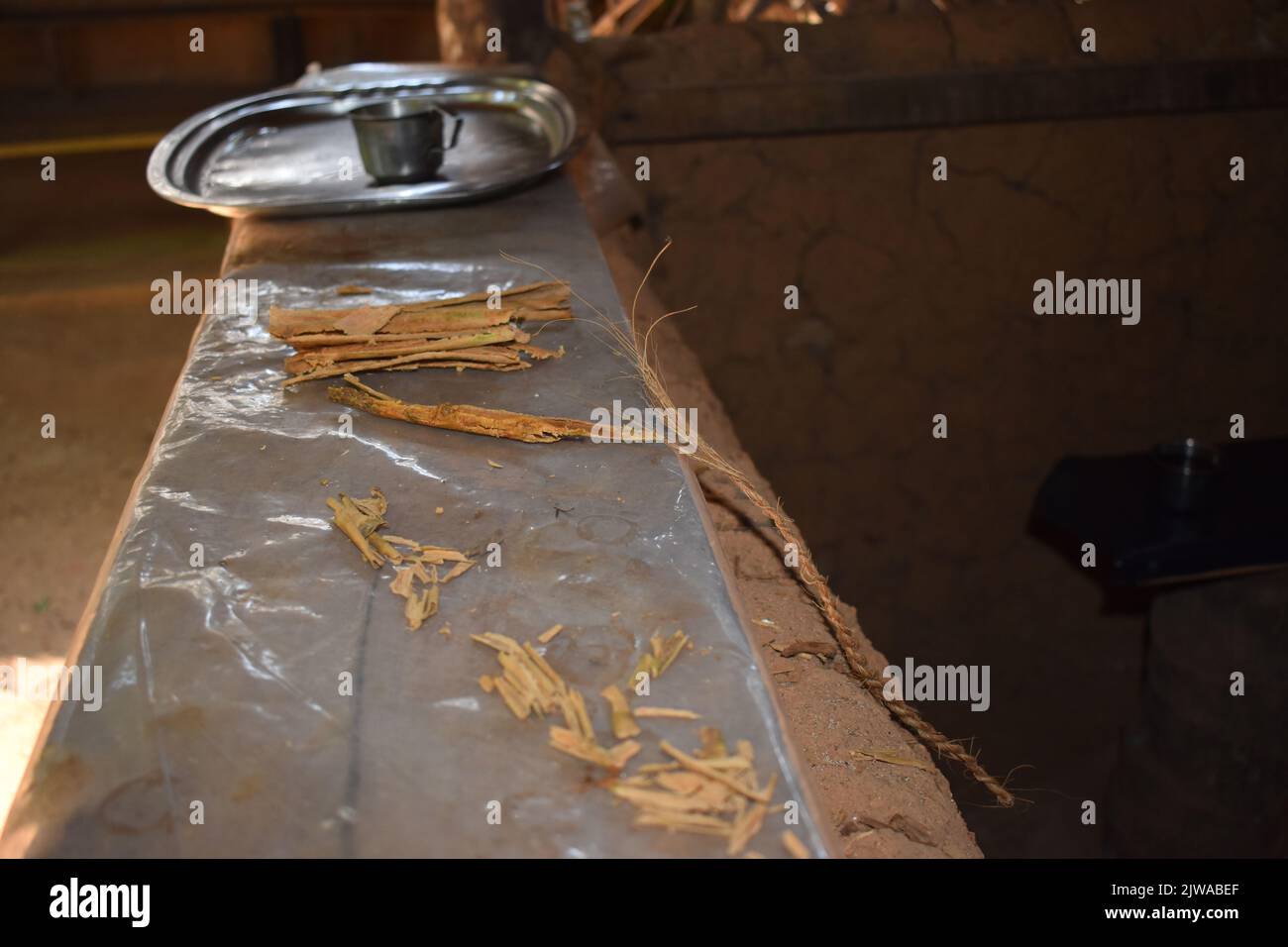 Cinnamon Islet si trova sul Madhu Ganga si trova verso il sud dello Sri Lanka. L'isolotto è abitato dalla famiglia del produttore di cannella G. H. Premadasa, che è abbastanza gentile da spiegare ai visitatori come sbucciare la cannella per la produzione di olio di cannella. La gente può avere un tè misto alla cannella e comprare cannella della qualità più alta qui. La cannella è una spezia che viene dalla corteccia interna dell'albero tropicale del Cinnamomum, è venduta come quills rotolato (bastoncini di cannella) o macinato in una polvere fine. Sri Lanka. Foto Stock
