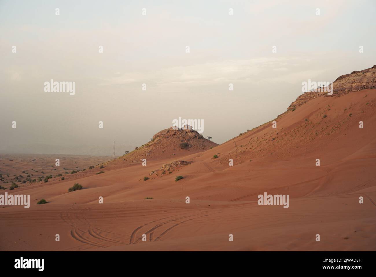 Foto del paesaggio del deserto arabo . Foto Stock