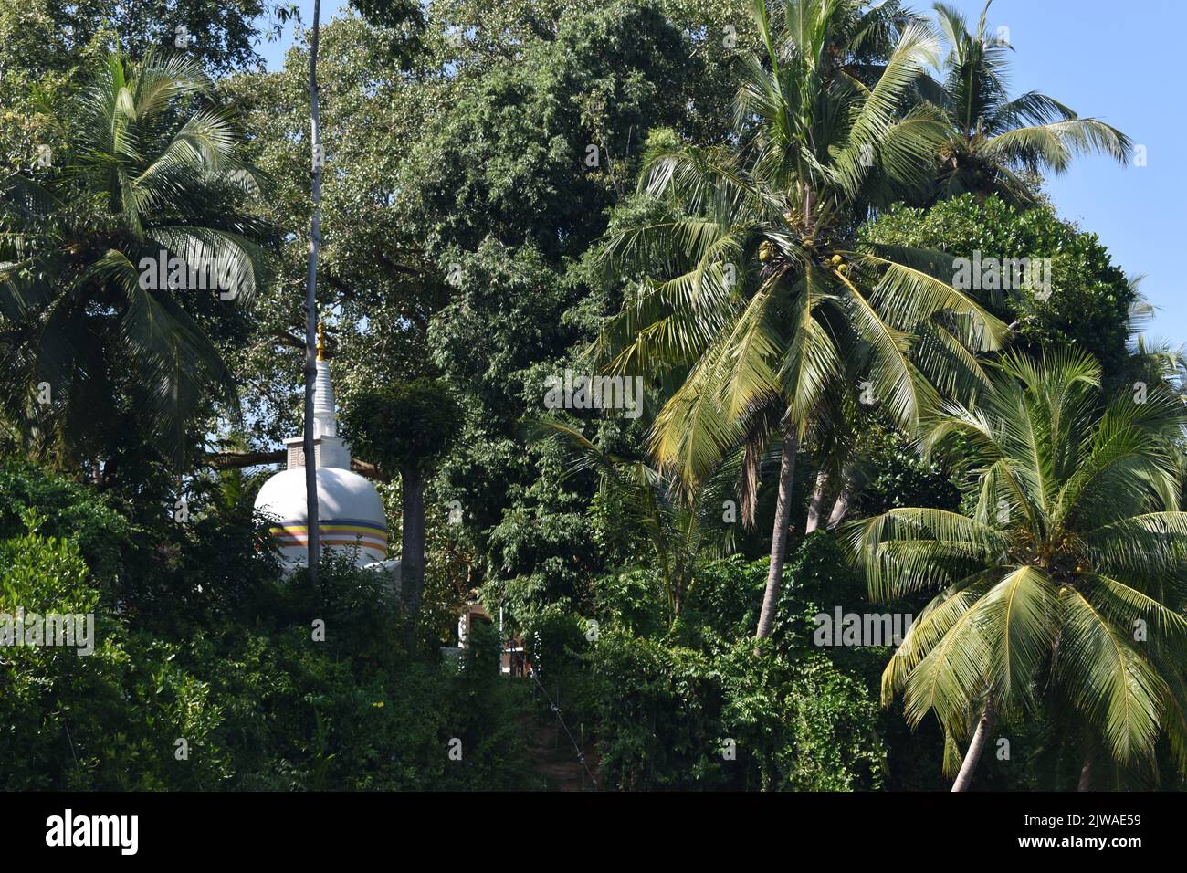 Un piccolo tempio vicino al fiume. Il Madu River Safari e' un'attivita' popolare che deve essere nella lista delle cose da fare di ogni rispettabile portiere di vacanza dello Sri Lanka. Questa indimenticabile attività dura più di due ore e offre al visitatore la possibilità di percorrere i passaggi segreti attraverso le foreste di mangrovie e vedere l'ecologia. Madu Ganga è un corso d'acqua minore che ha origine vicino Uragasmanhandiya nel distretto di Galle dello Sri Lanka, prima di ampliarsi nel lago Madu Ganga a Balapitiya. Il fiume scorre poi per altri 4,4 km prima di scolare nell'Oceano Indiano. Si trova a 88 km a sud di Colombo Foto Stock