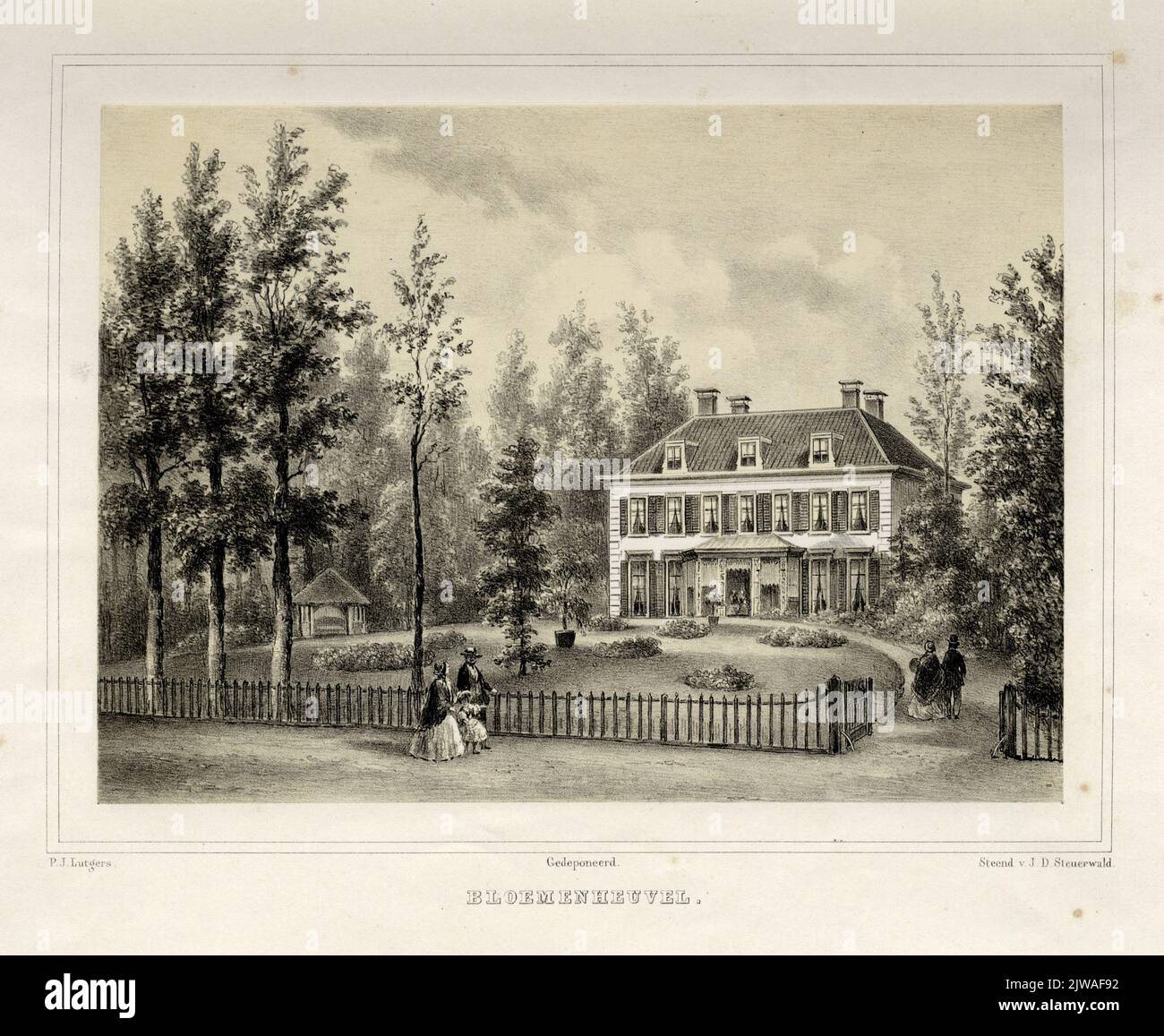 Collina dei fiori. Foto Stock