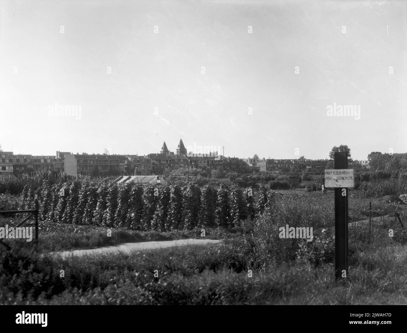 Vista del vivaio fiorito di J. van Someren sulla Biltstraat a Utrecht, con il retro delle case su Willem Barentszstraat.n.b sullo sfondo. Il nome ufficiale della strada usato dal comune di Utrecht è Willem Barentzstraat. Foto Stock