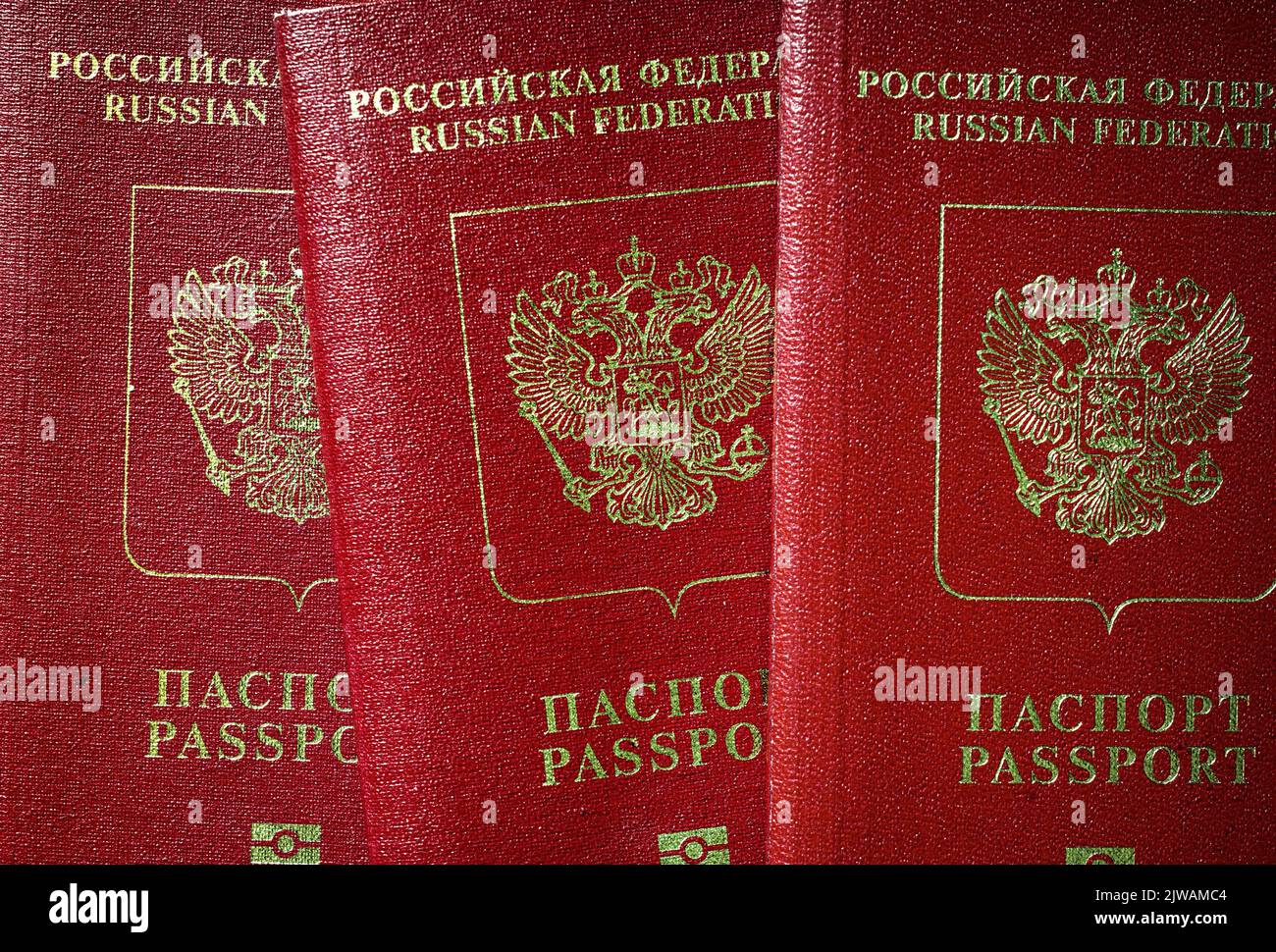 Passaporto russo vista dall'alto, gruppo di passaporti turistici della Russia. Concetto di limitazione dei viaggi, rifiuto dei visti, crisi turistica, sanzioni, Ucraina wa Foto Stock