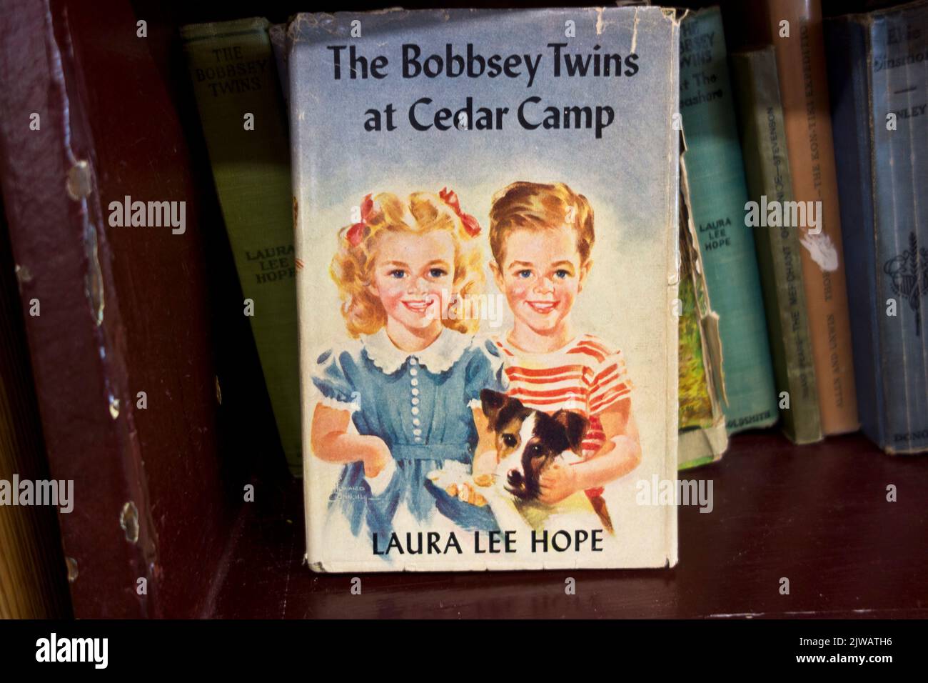 Vintage Bobbsey Twins libro per bambini su uno scaffale. Foto Stock
