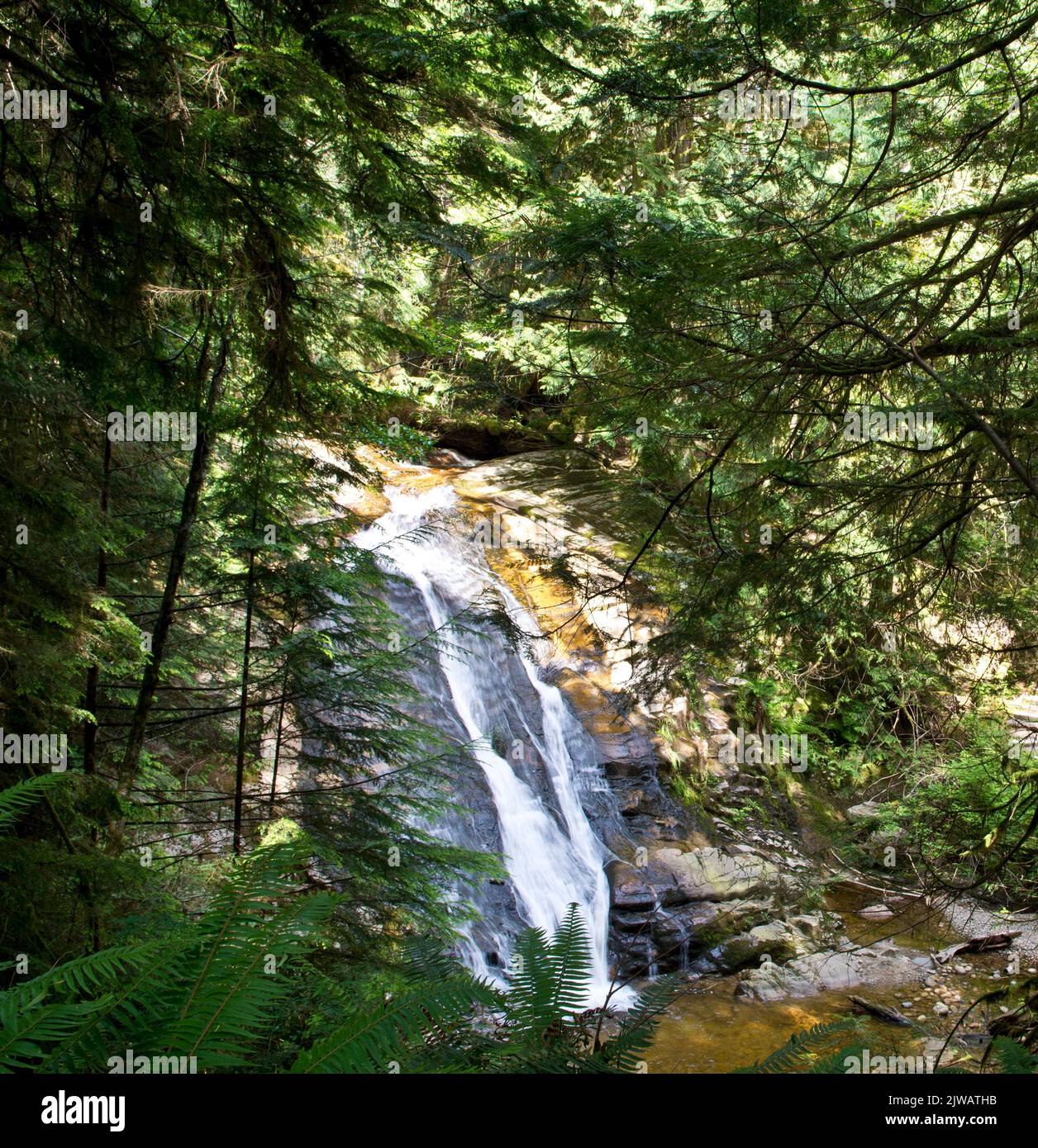 Cascata nel parco Cliff Gilker di Roberts Creek sulla Sunshine Coast della British Columbia, Canada. Foto Stock