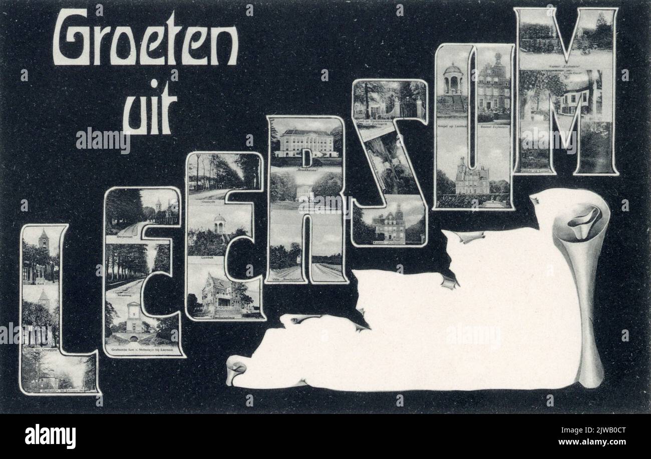 Collage di facce in Leersum.n.b. Scheda fantasia con foto di piccolo formato. Foto Stock